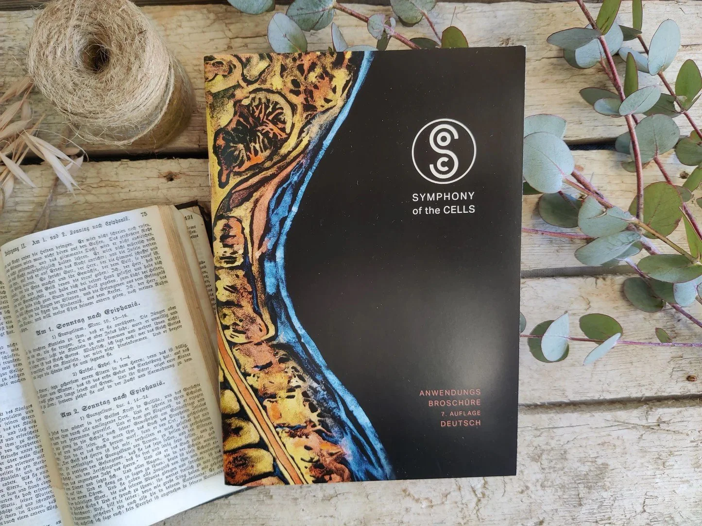 Ein offenes Buch mit Text auf der linken Seite, daneben eine Broschüre mit dem Titel 'Symphony of the Cells' auf einem Holzuntergrund, umgeben von Eukalyptusblättern und einer Spule Juteschnur.