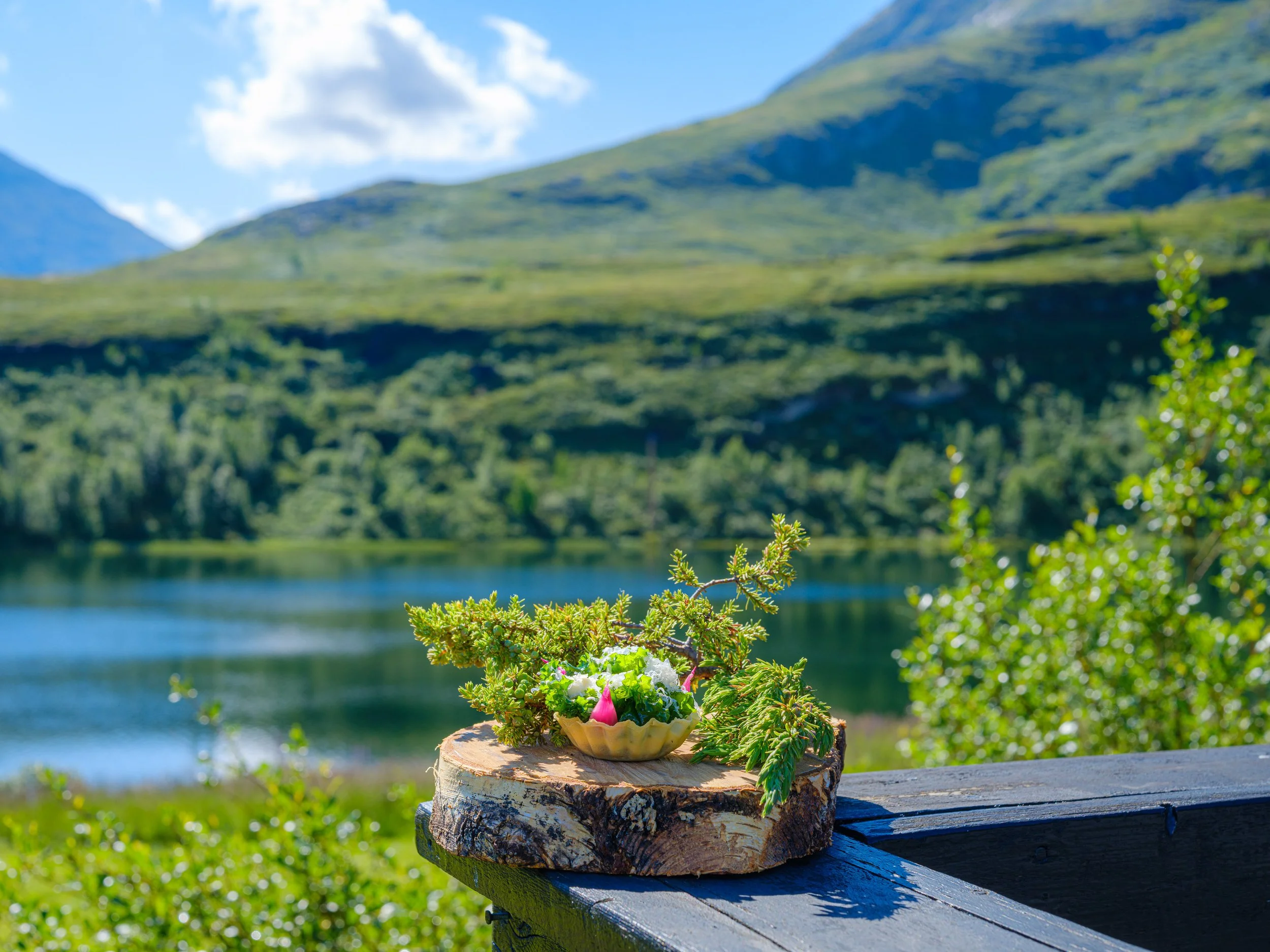 Gorumetmåltid på en treplate foran et vann med fjell i bakgrunnen, under en blå himmel med noen skyer.