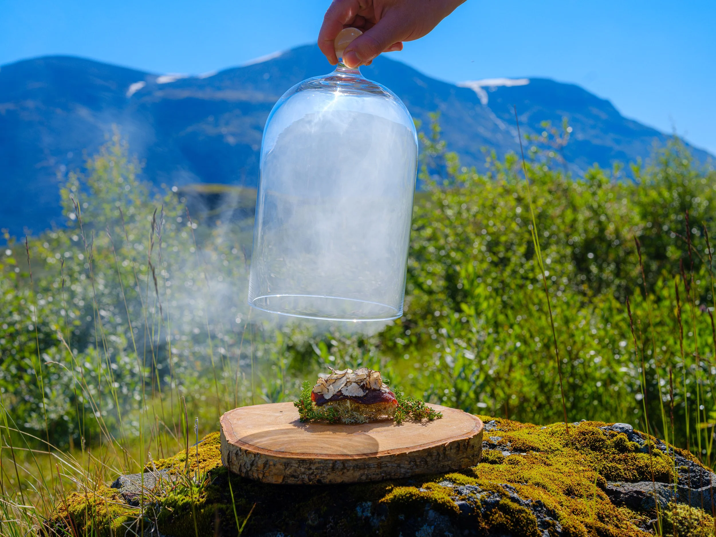 En hånd holder en glasskuppel over gourmetmiddag, med fjell og grønne vekster i bakgrunnen.