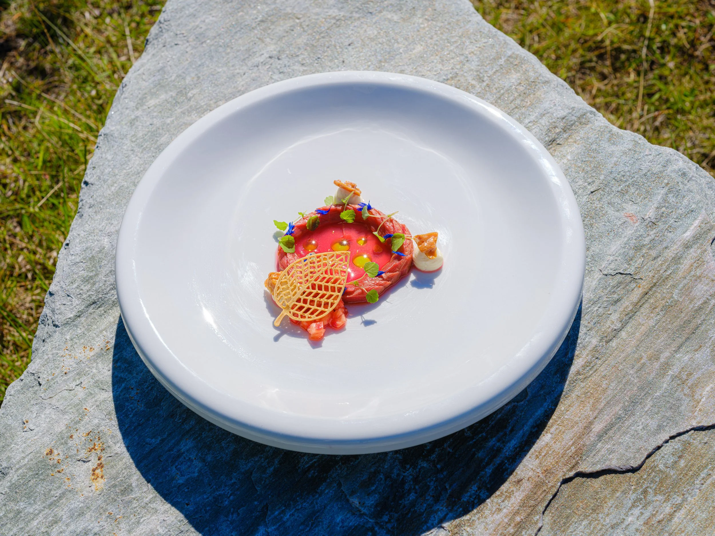 Elegant tallerken med gourmetmat, plassert på en stein utendørs, med grønt gress rundt.