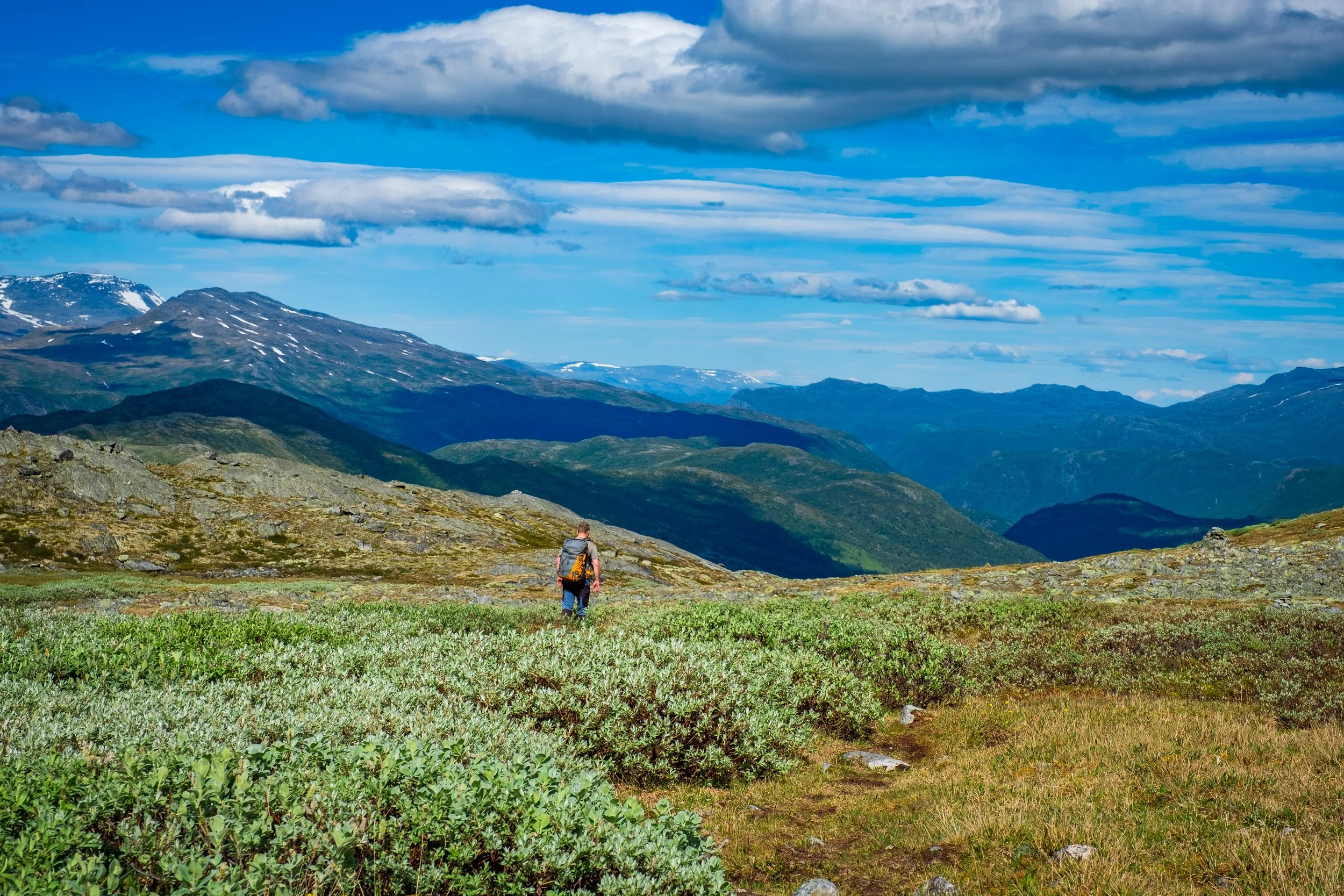 Året rundt i fjellet - opplevelser i takt med sesongene