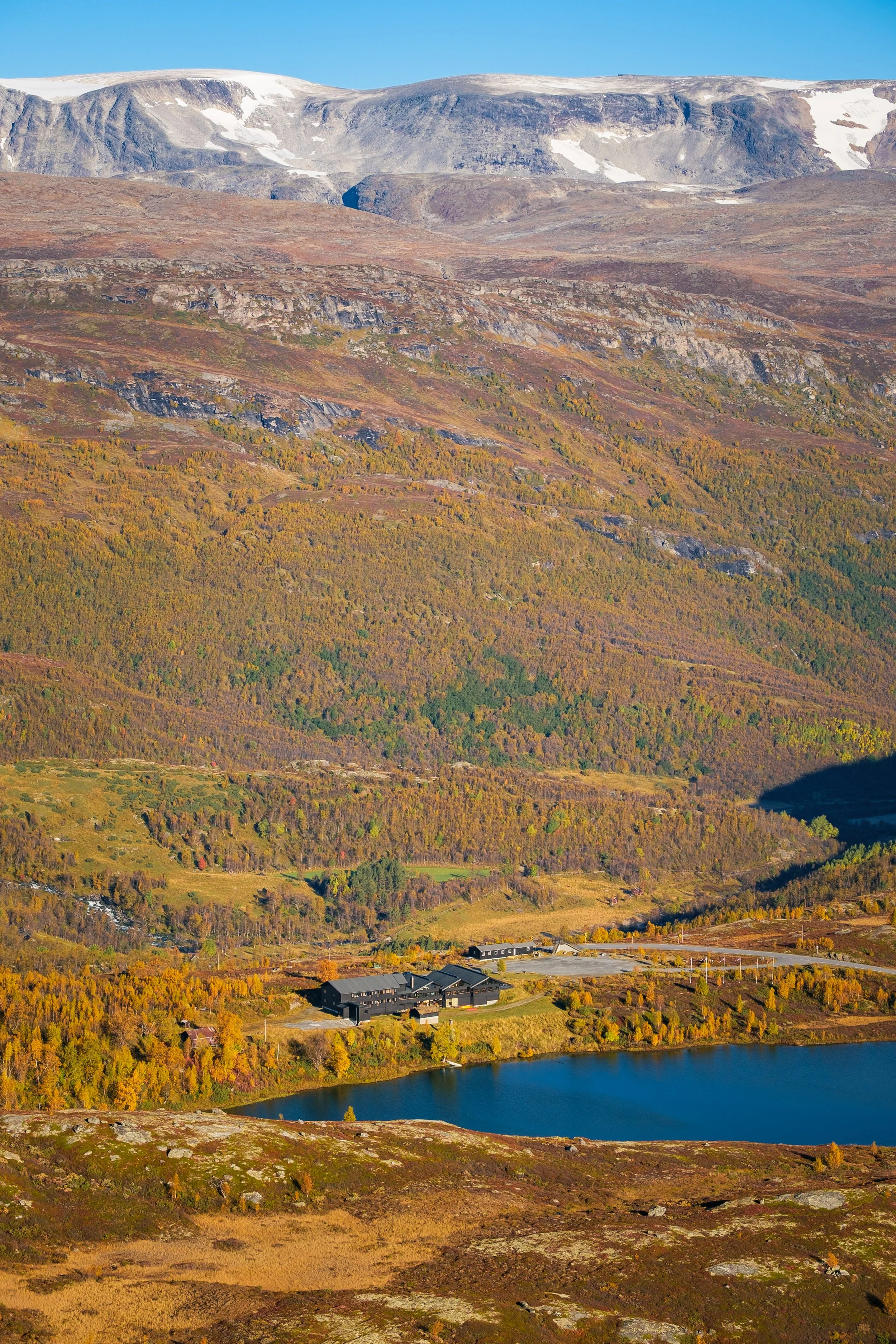 Fjellandskap med høstfargede trær, Jotunheimen Fjellstue og en innsjø i forgrunnen, høye fjell med snø på toppen i bakgrunnen.