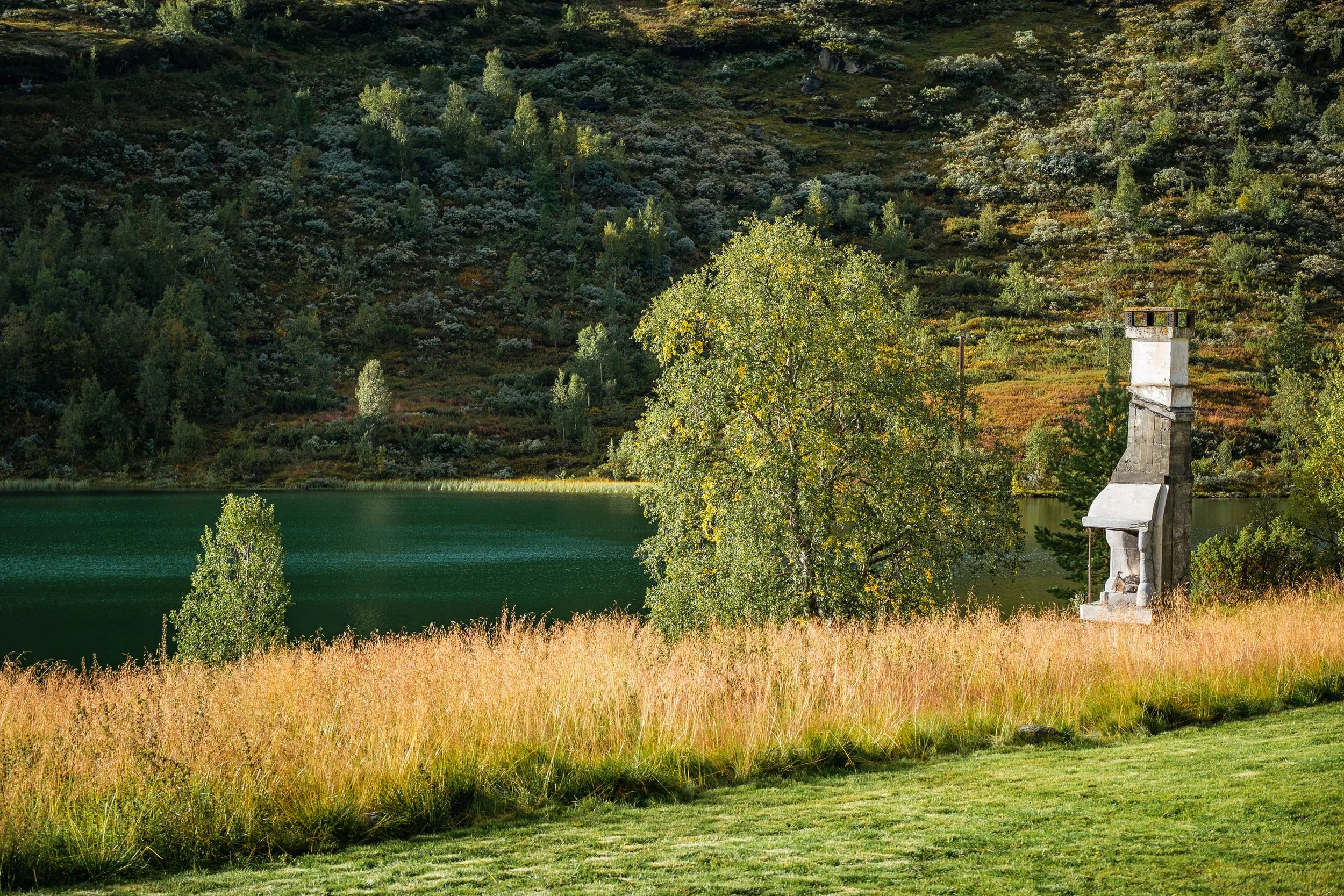 Naturskjønn landskap med et vann, trær og gressletter,.