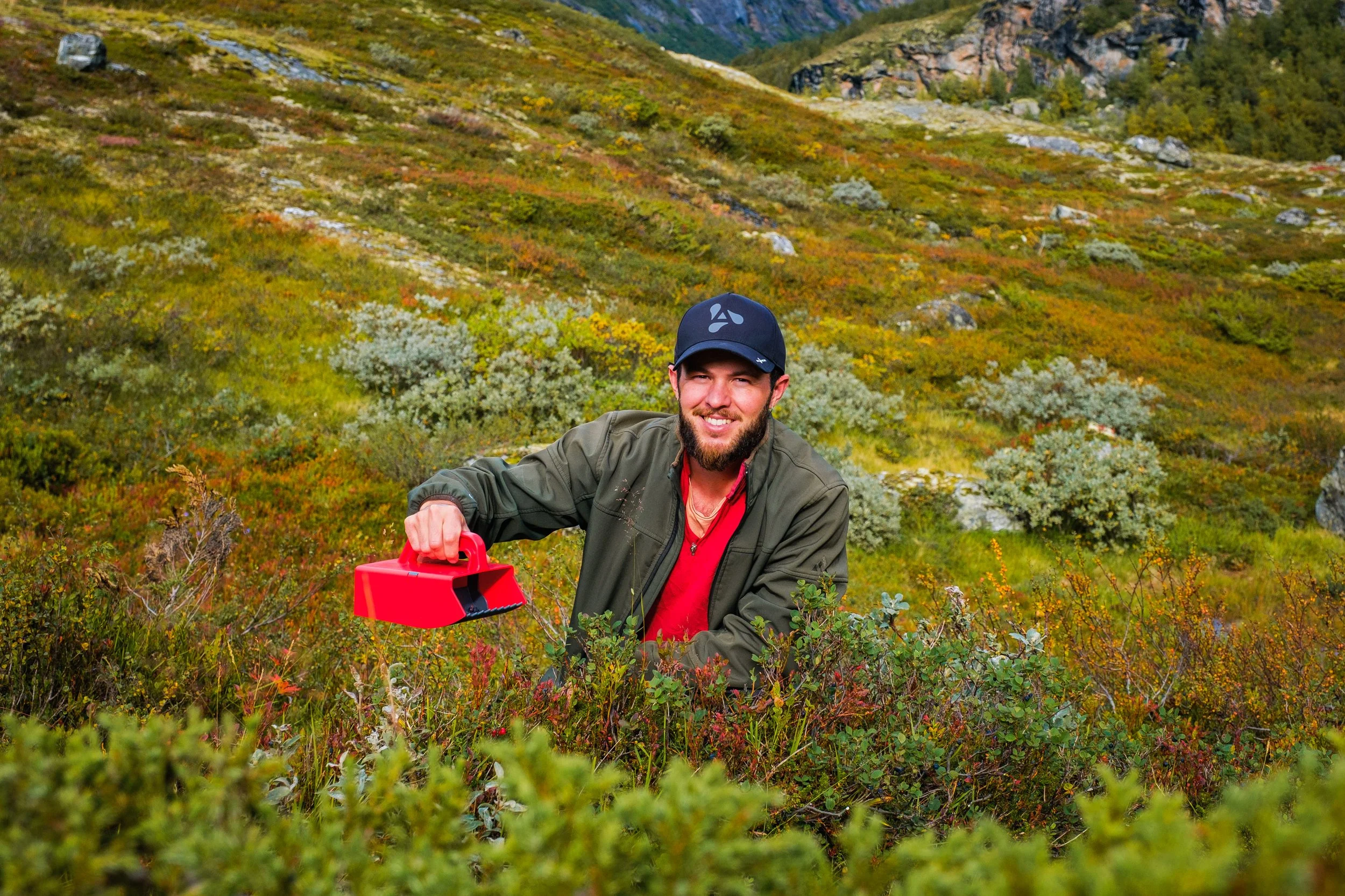 En smilende mann i en fjellområde med grønne og gule busker holder en bærplukker og plukker blåbær. 