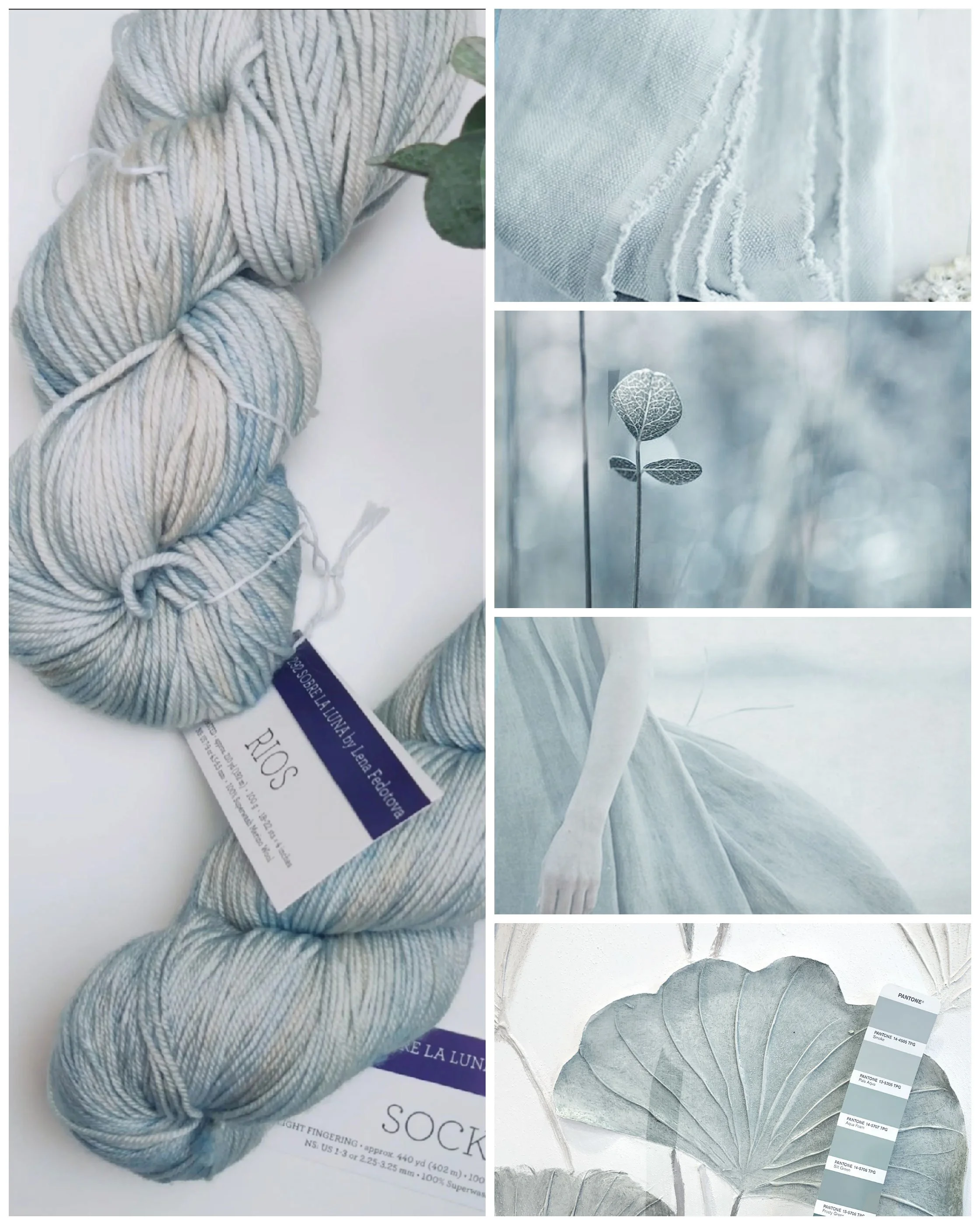 CC006.jpg