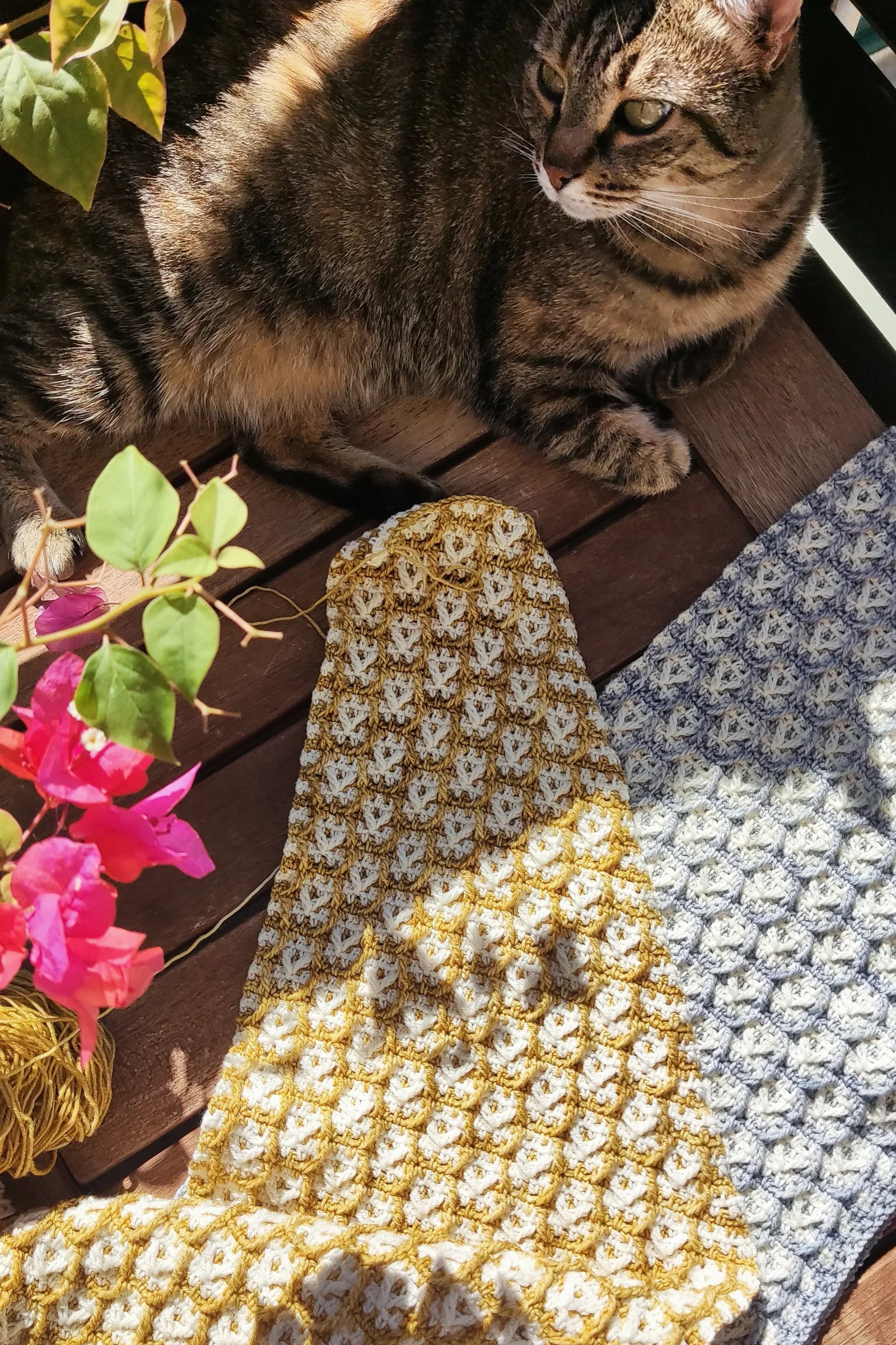 Make a wish shawl 001.jpg