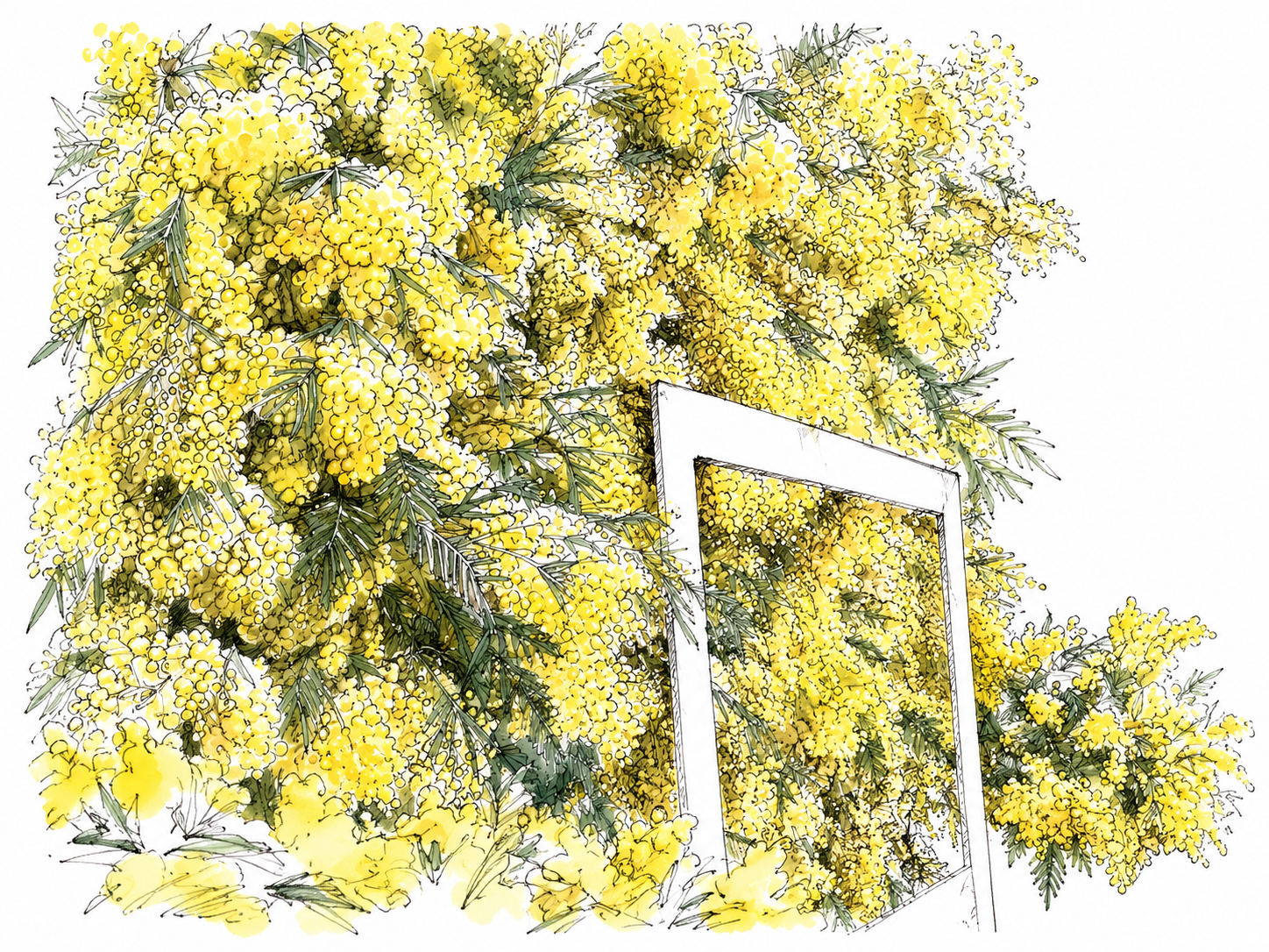 Gros plan d'une explosion de fleurs jaunes avec un cadre blanc partiellement entourant les fleurs.