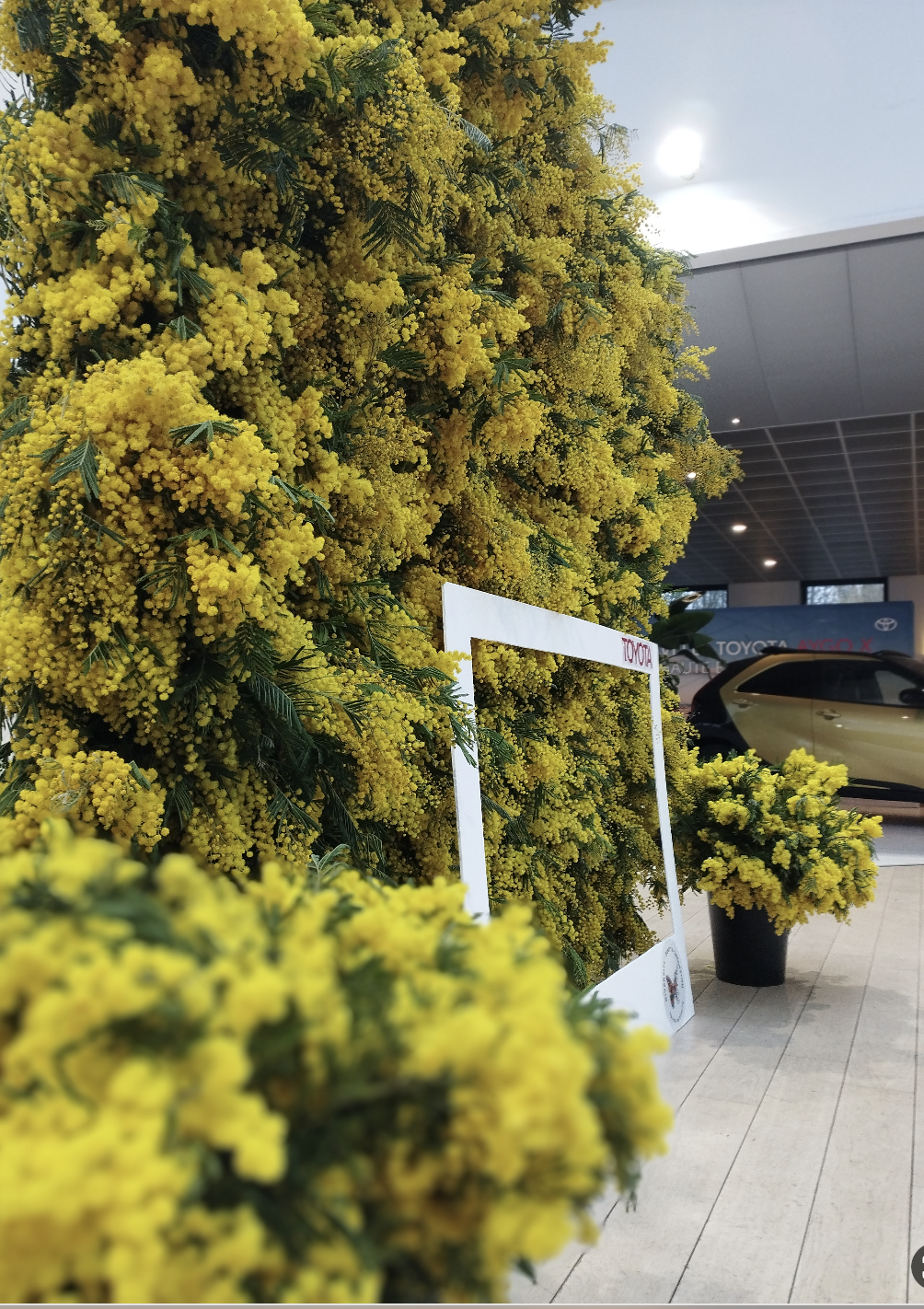 Capture d’écran 2025-05-14 à 09.53.42.png