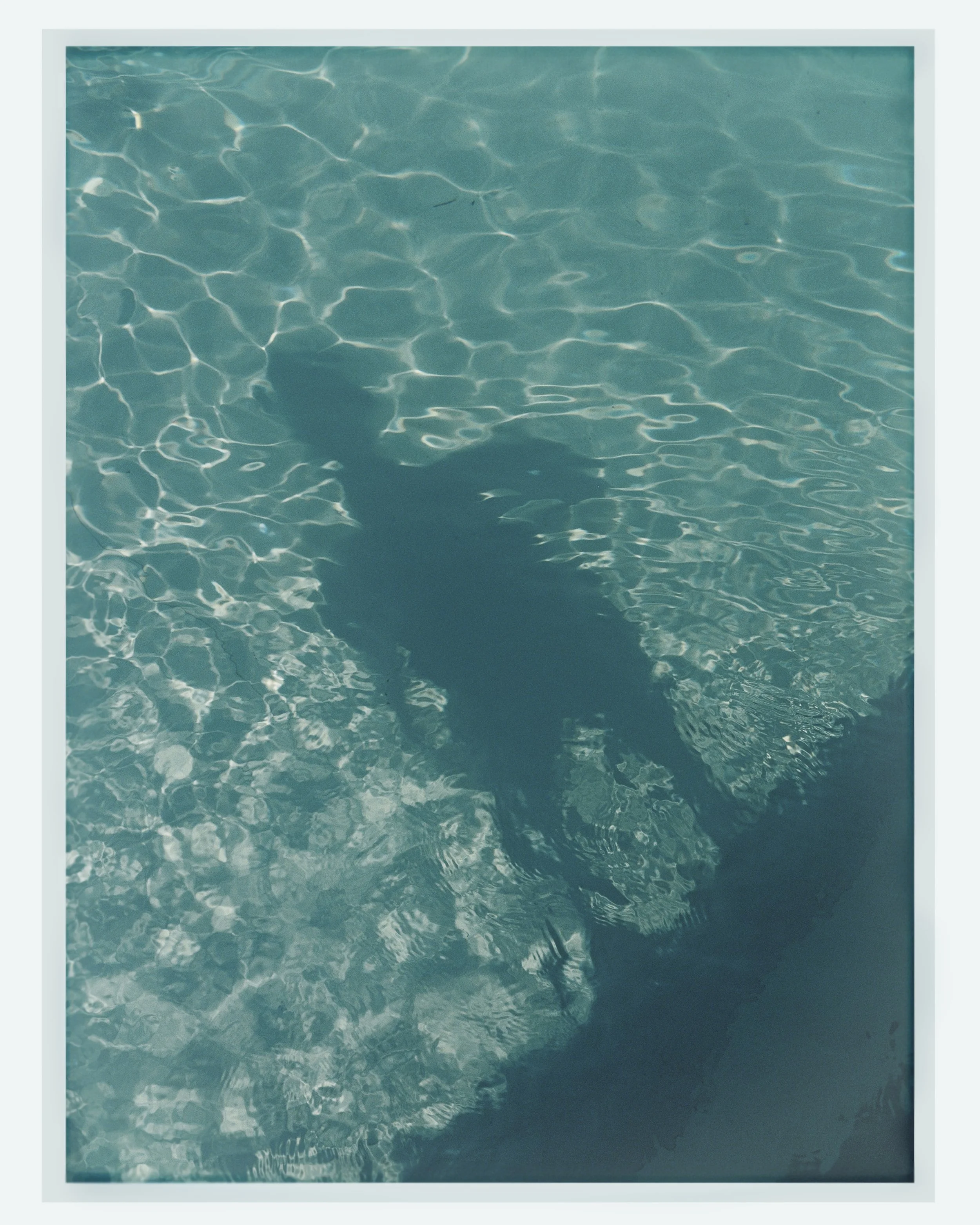 Pool figure Final.jpg