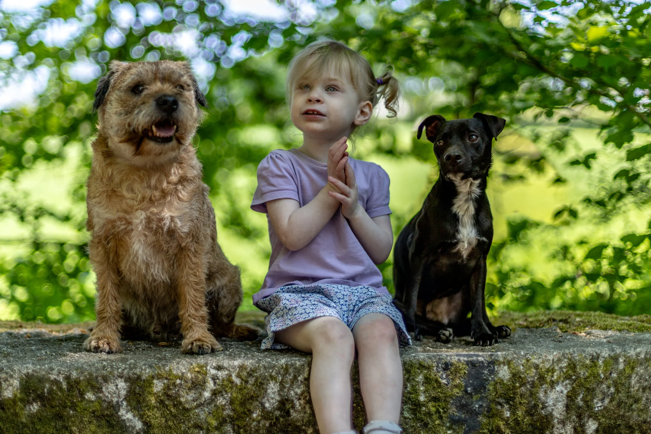 Close-up of a young child with blue eyes and blonde hair, wearing a dark floral jacket with a white furry hood, outdoors in sunlight.