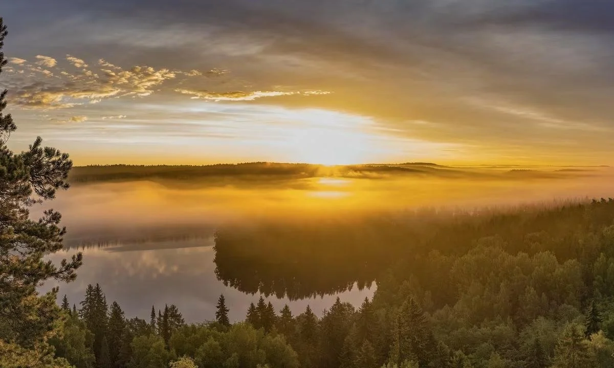 Koe jooga Aulangon ikonisen n&auml;k&ouml;tornin juurella, keskell&auml; yht&auml; H&auml;meenlinnan kauneimmista luontomaisemista! 

Lempe&auml; puistojooga (eng.) Aulangon puistossa 🌿
Sunnuntaina 12. hein&auml;kuuta klo 9:30&ndash;10:30

Monipuoli