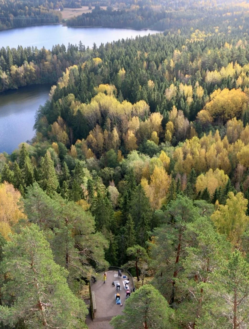 Studio Nadan ruskajooga upeissa maisemissa ja aurinkoisessa syyss&auml;&auml;ss&auml; 🍂☀️

.
.
.

#joogah&auml;meenlinna #ruska #aulangonn&auml;k&ouml;torni