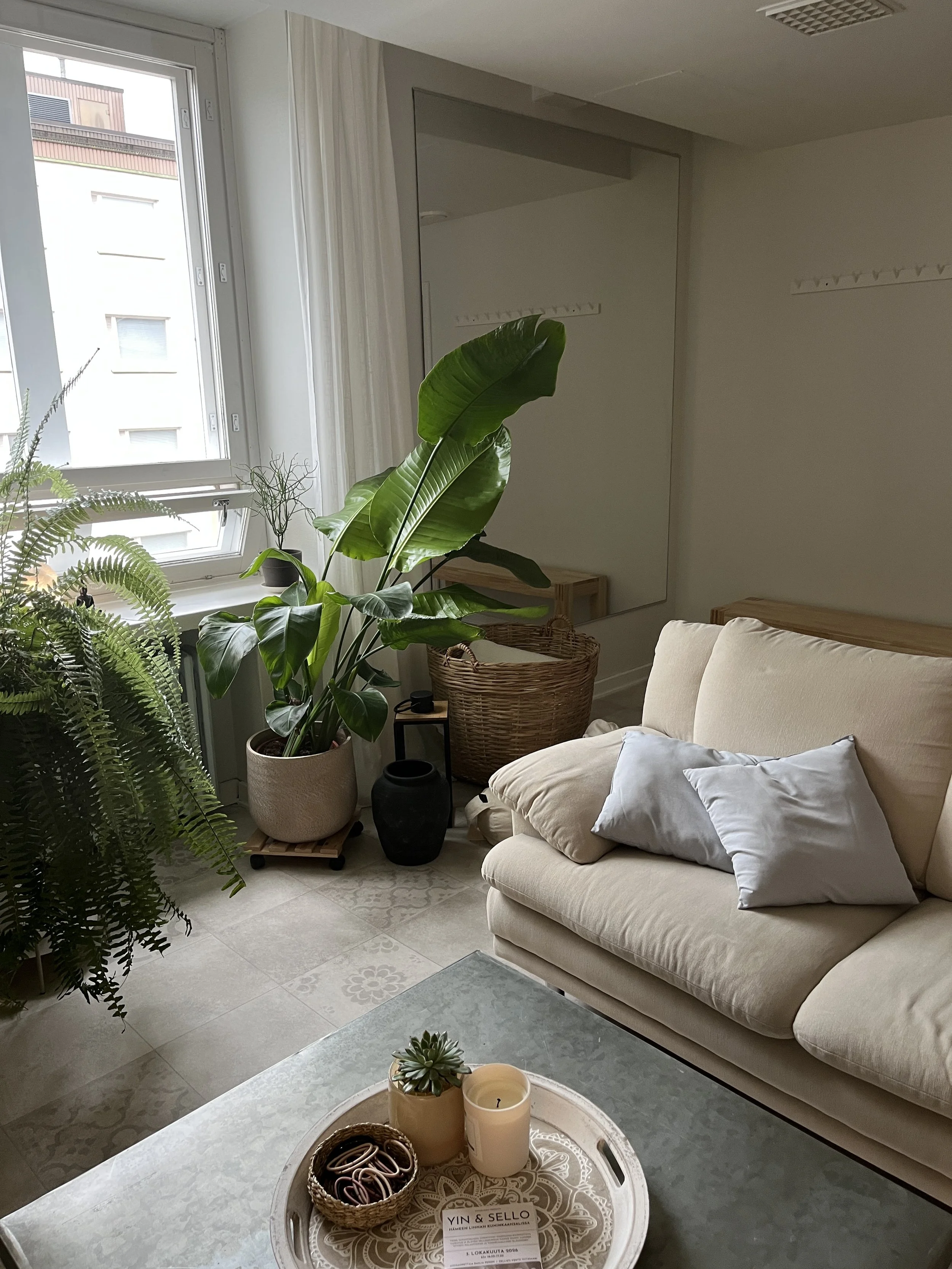 sofa and plants with bright window