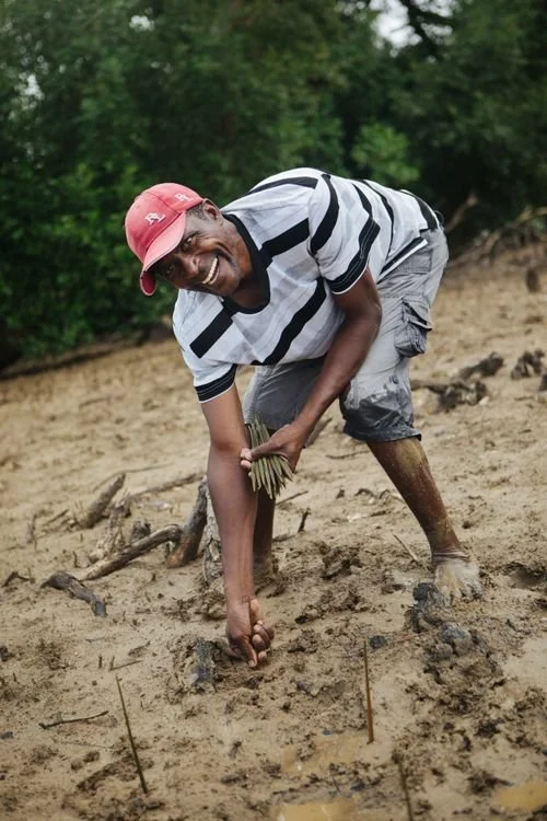 Even more sustainable now!