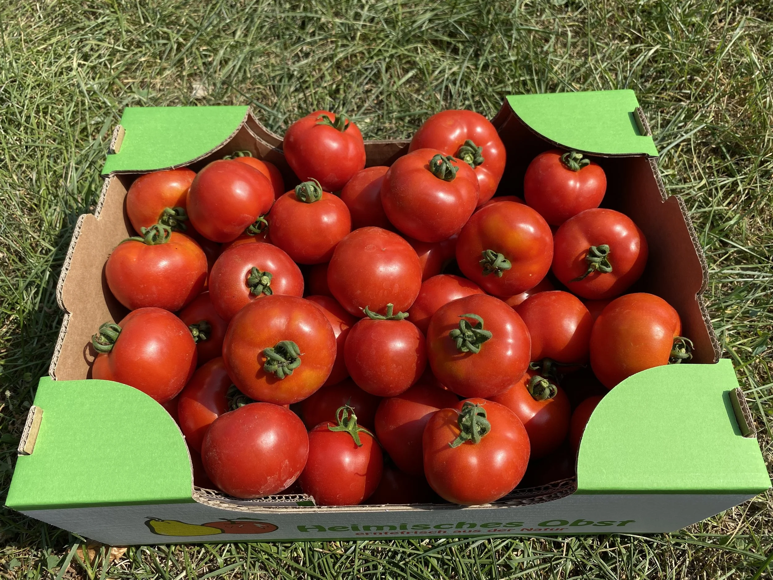 tomaten kiste2.jpeg