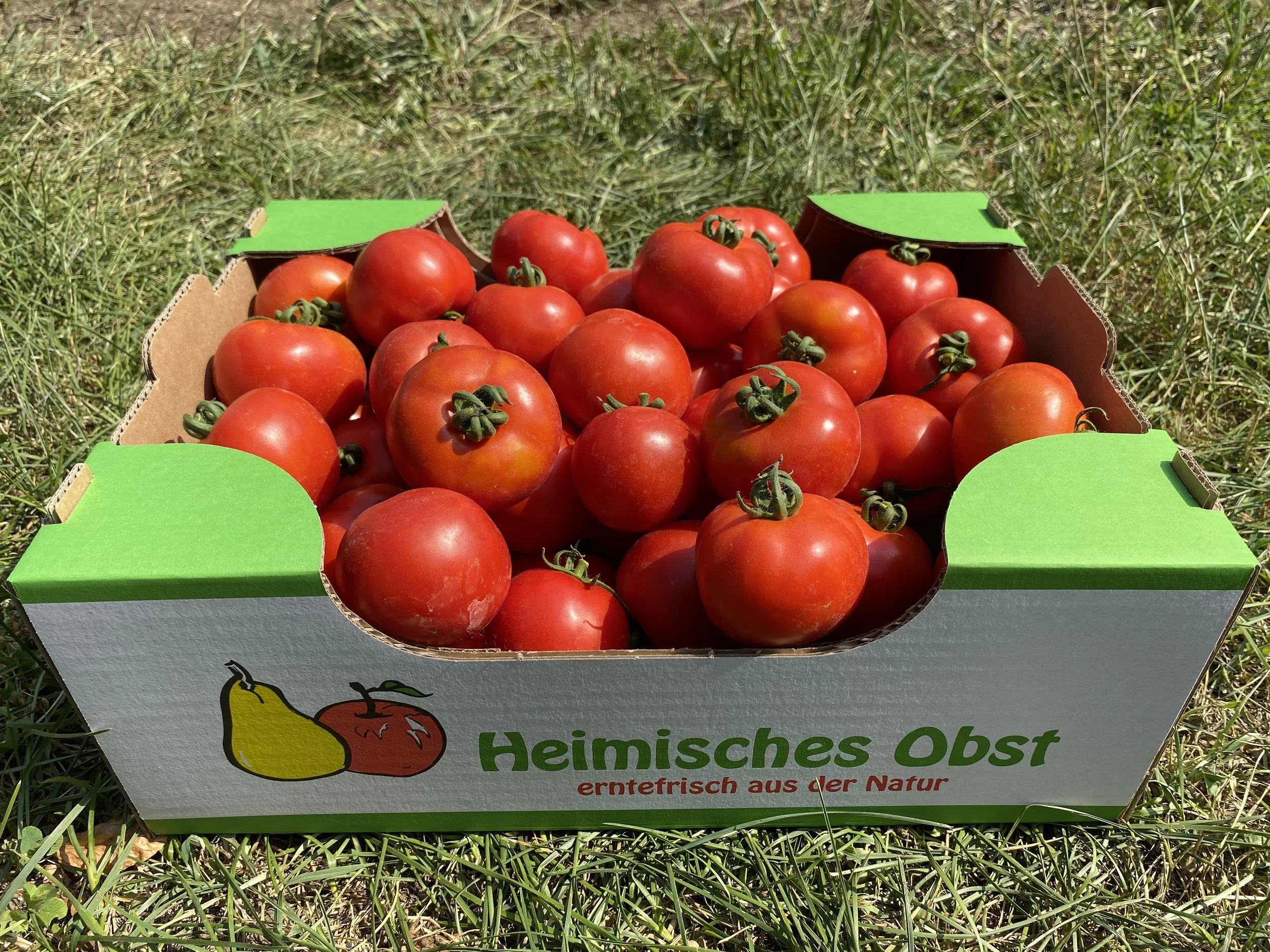 tomaten kiste.jpeg
