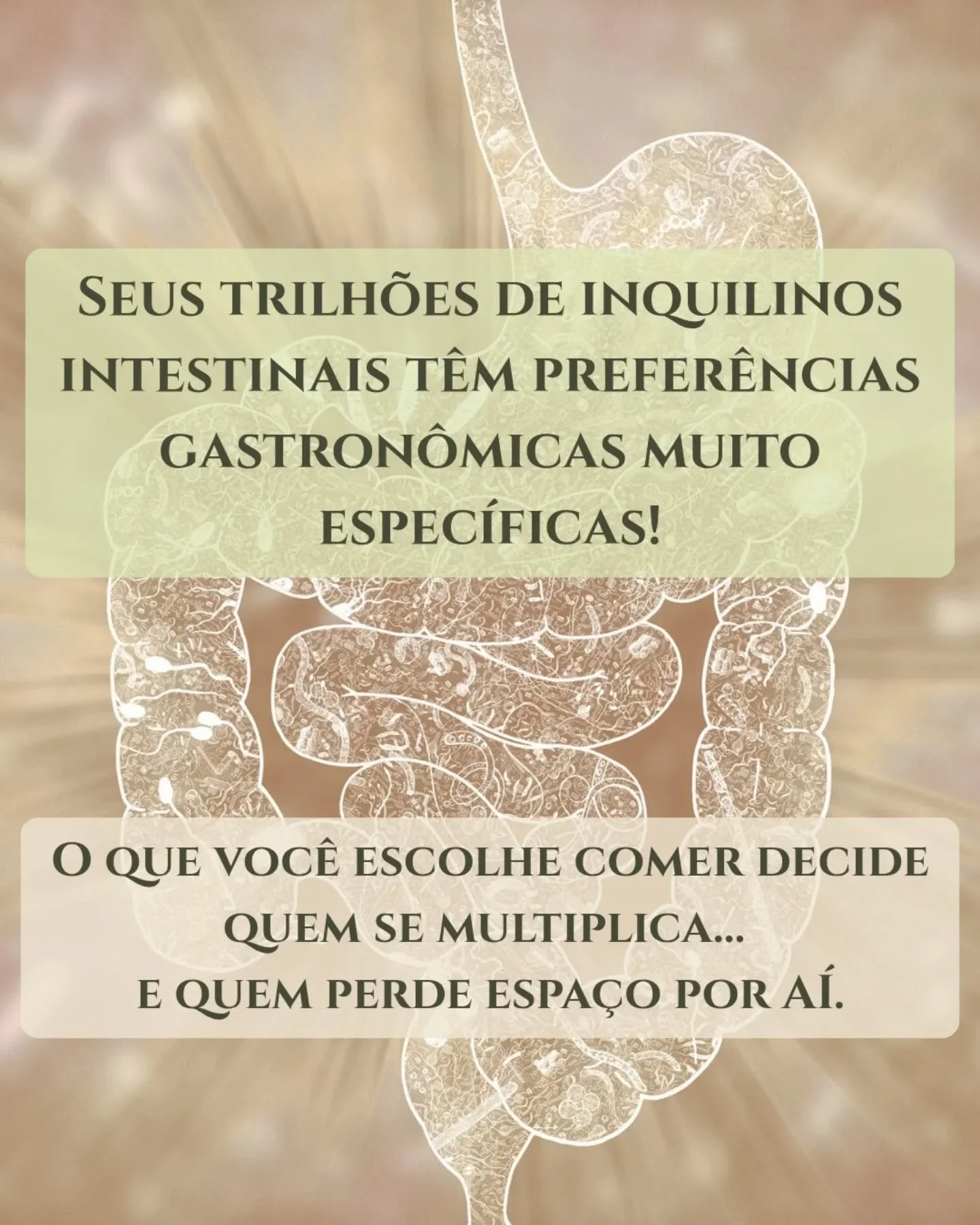 Seus trilh&otilde;es de &quot;inquilinos&quot; intestinais, a t&atilde;o falada microbiota, t&ecirc;m prefer&ecirc;ncias muito espec&iacute;ficas, e o que voc&ecirc; oferece a eles define a sua composi&ccedil;&atilde;o. Ao escolher alimentos vegetais