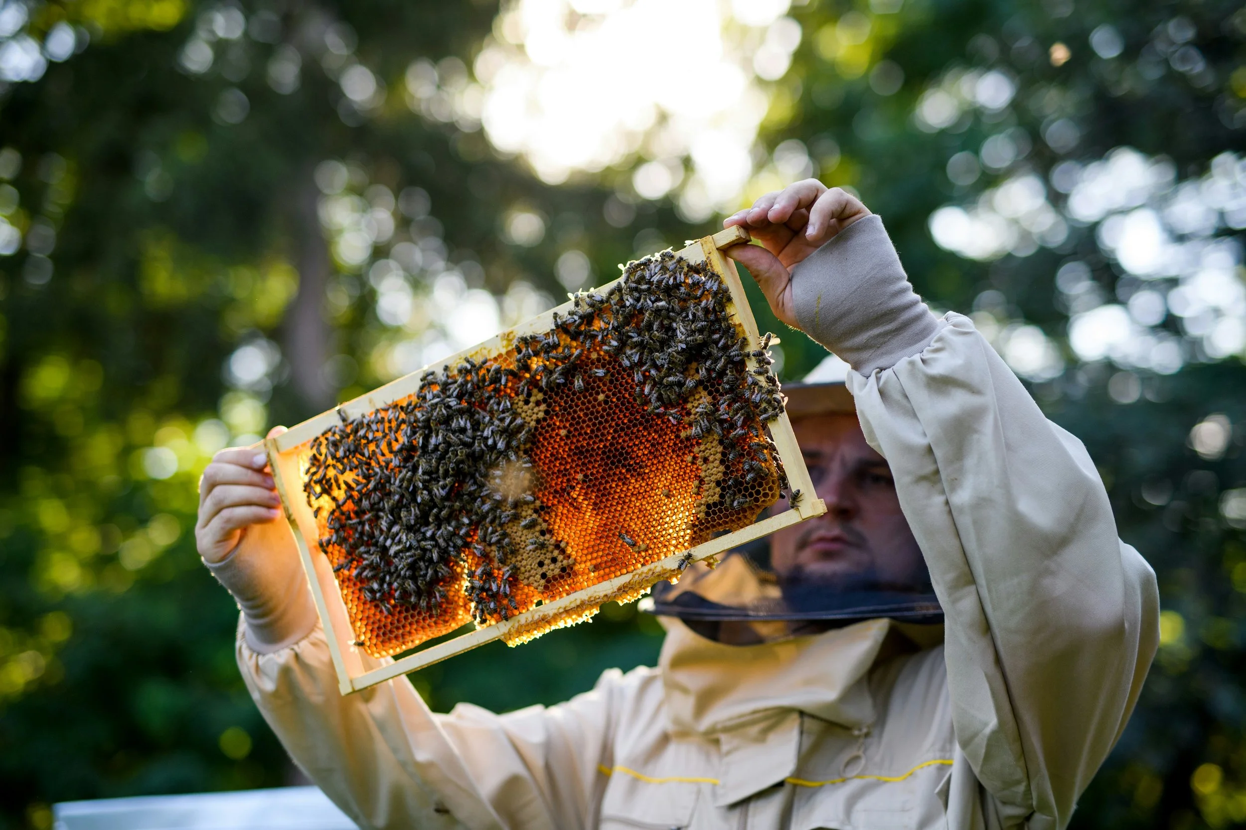 Dalan Biosciences  beekeeper