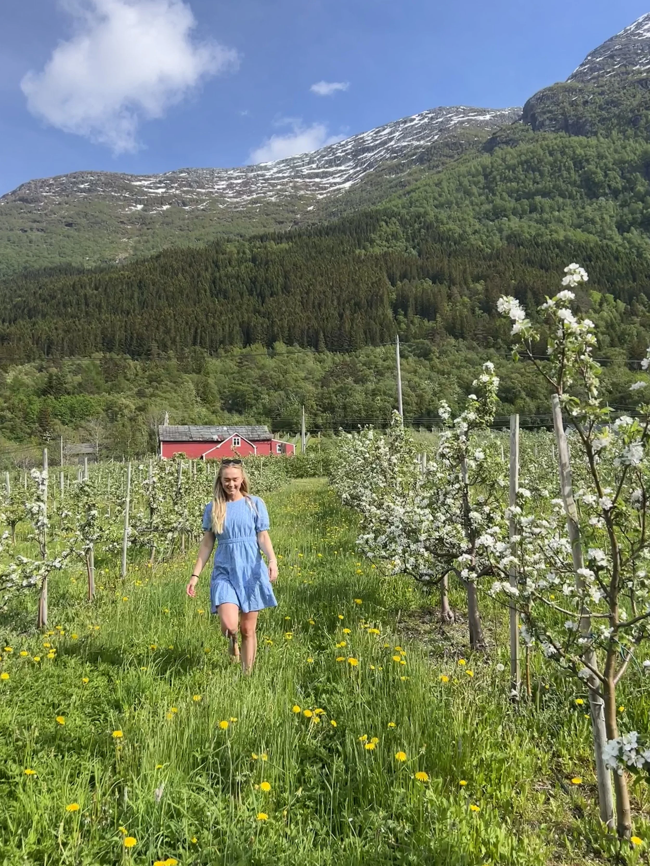 Anita som går i en blomstereng