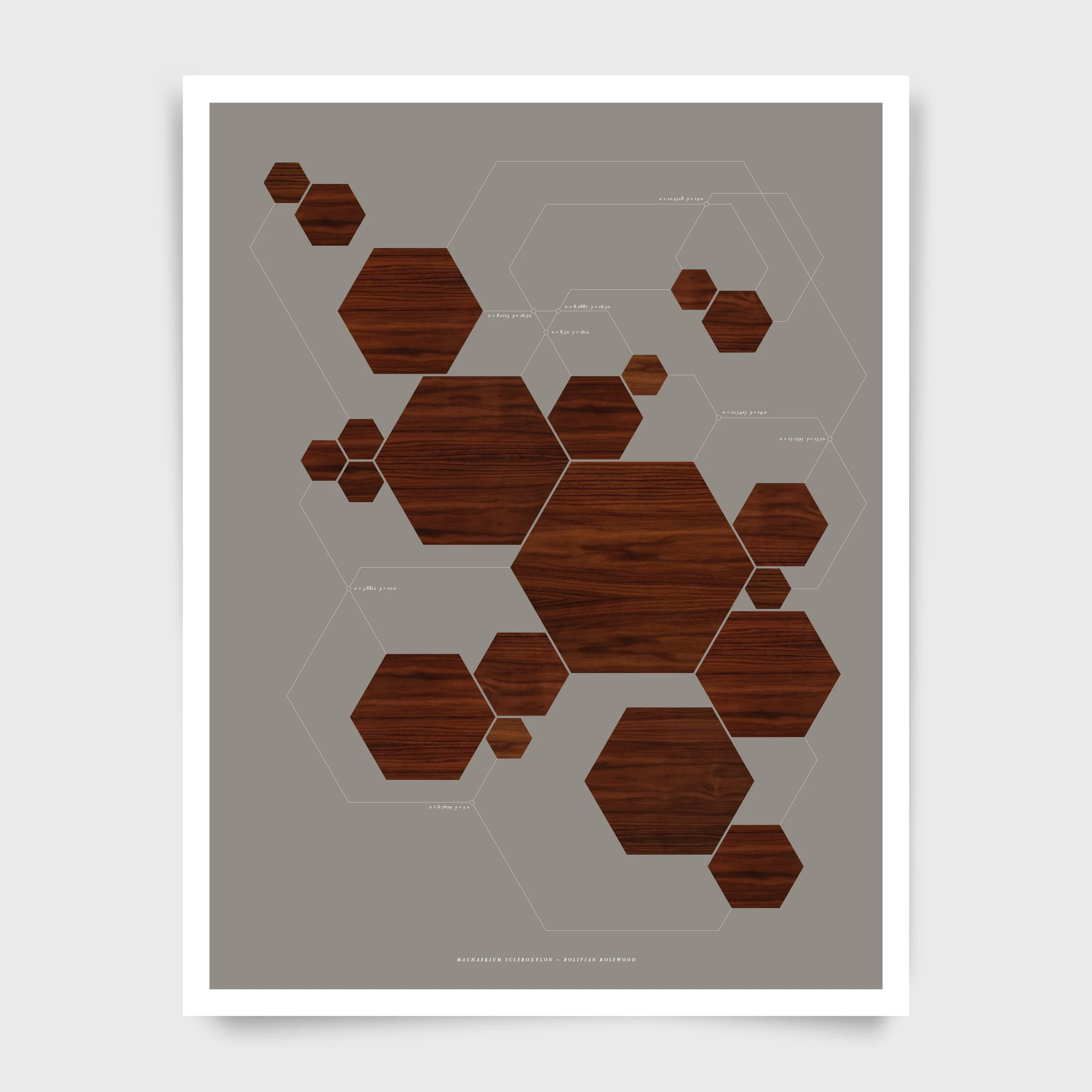 Hexagonon Major, Geometry Series, 55.9 x 43.2
