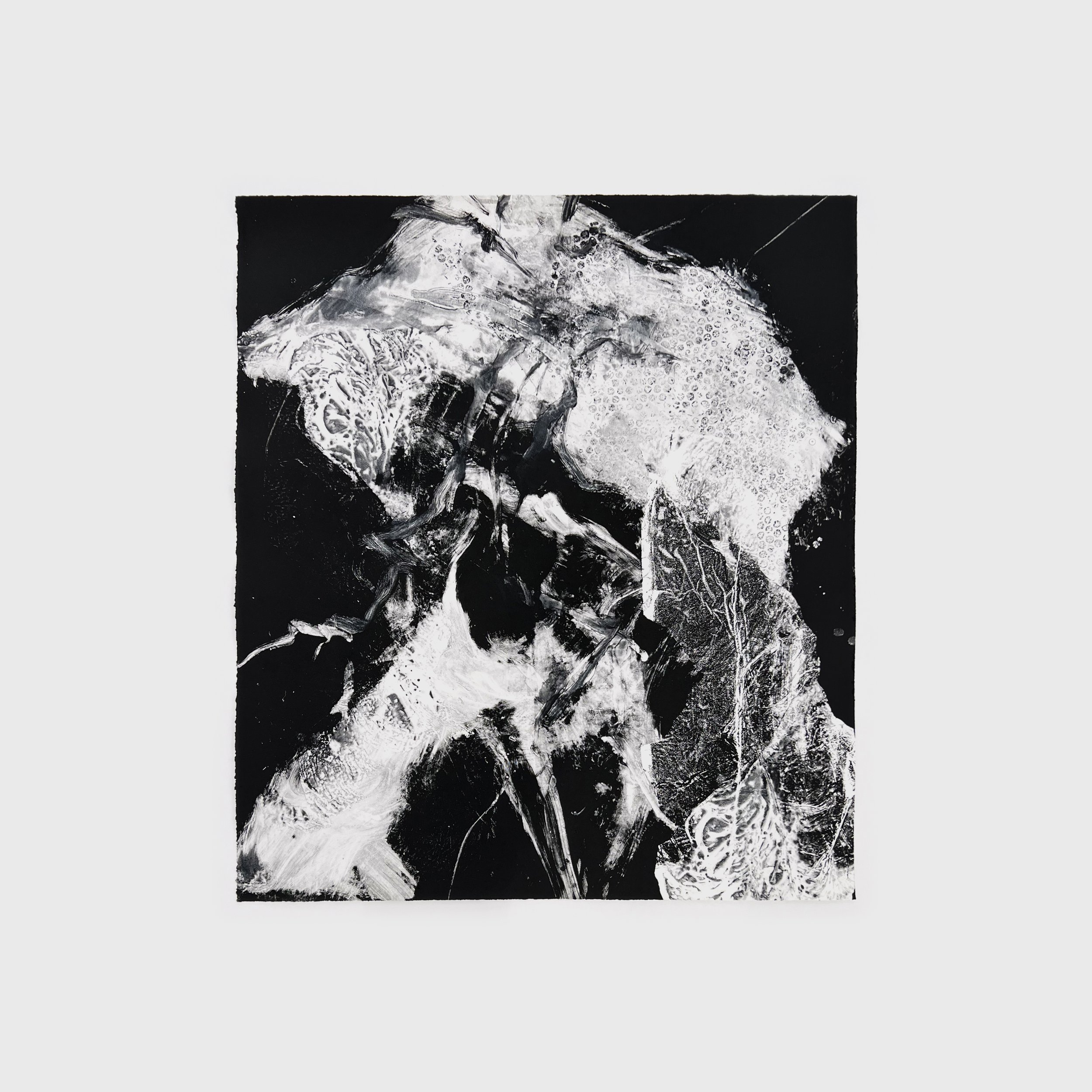 Monochrome L