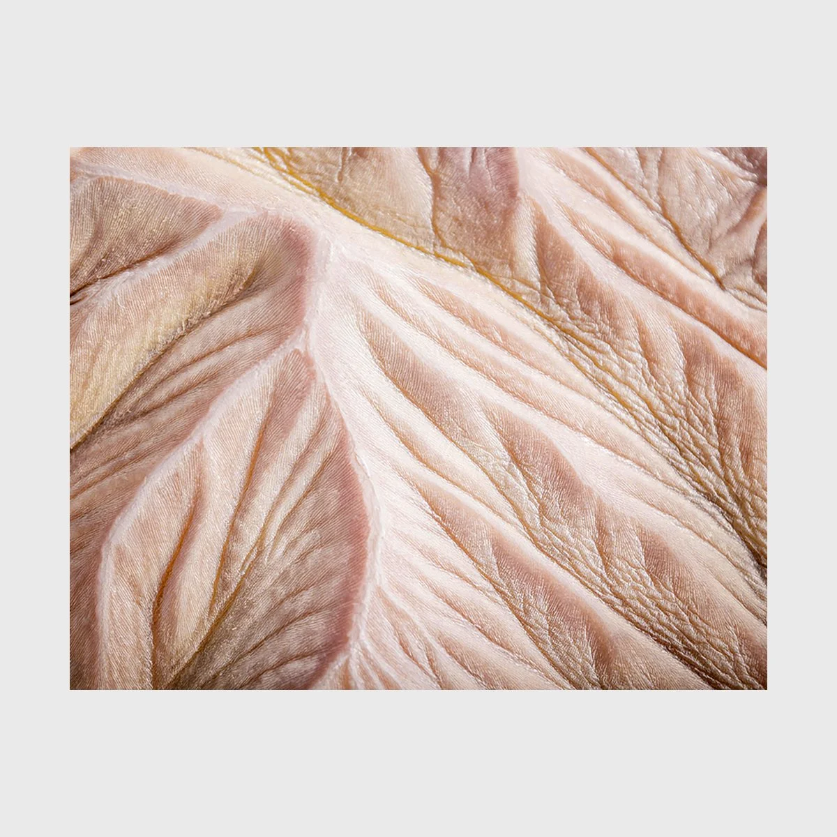Fold 02, 1100 x 1555 mm, Edition 5