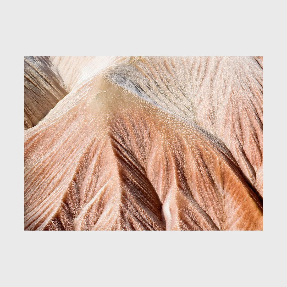 Folds 03, 900 x 1230 mm, Edition 5