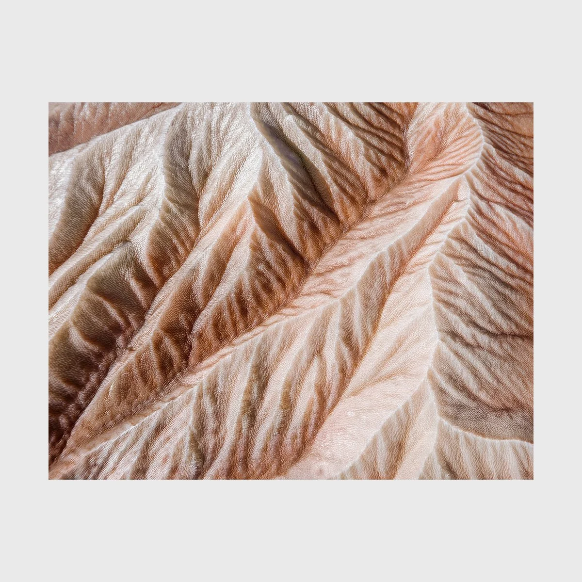 Folds 01, 350 x 460 mm, Edition 5