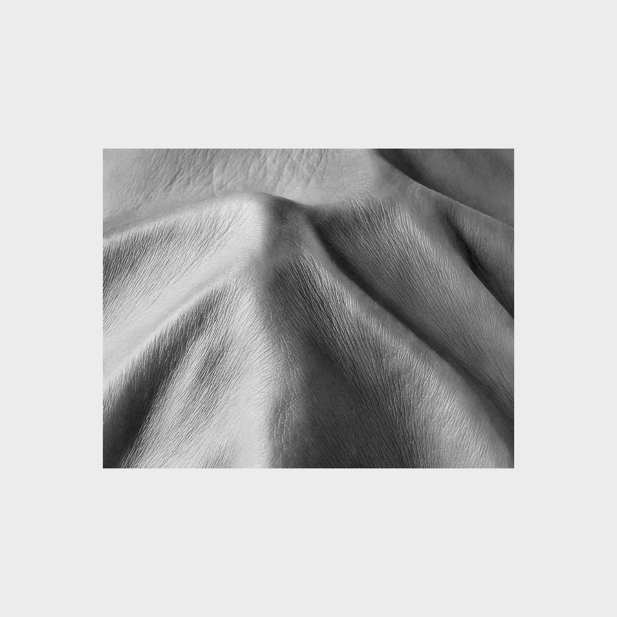 Replis, 2026, 290 x 370 mm, EA