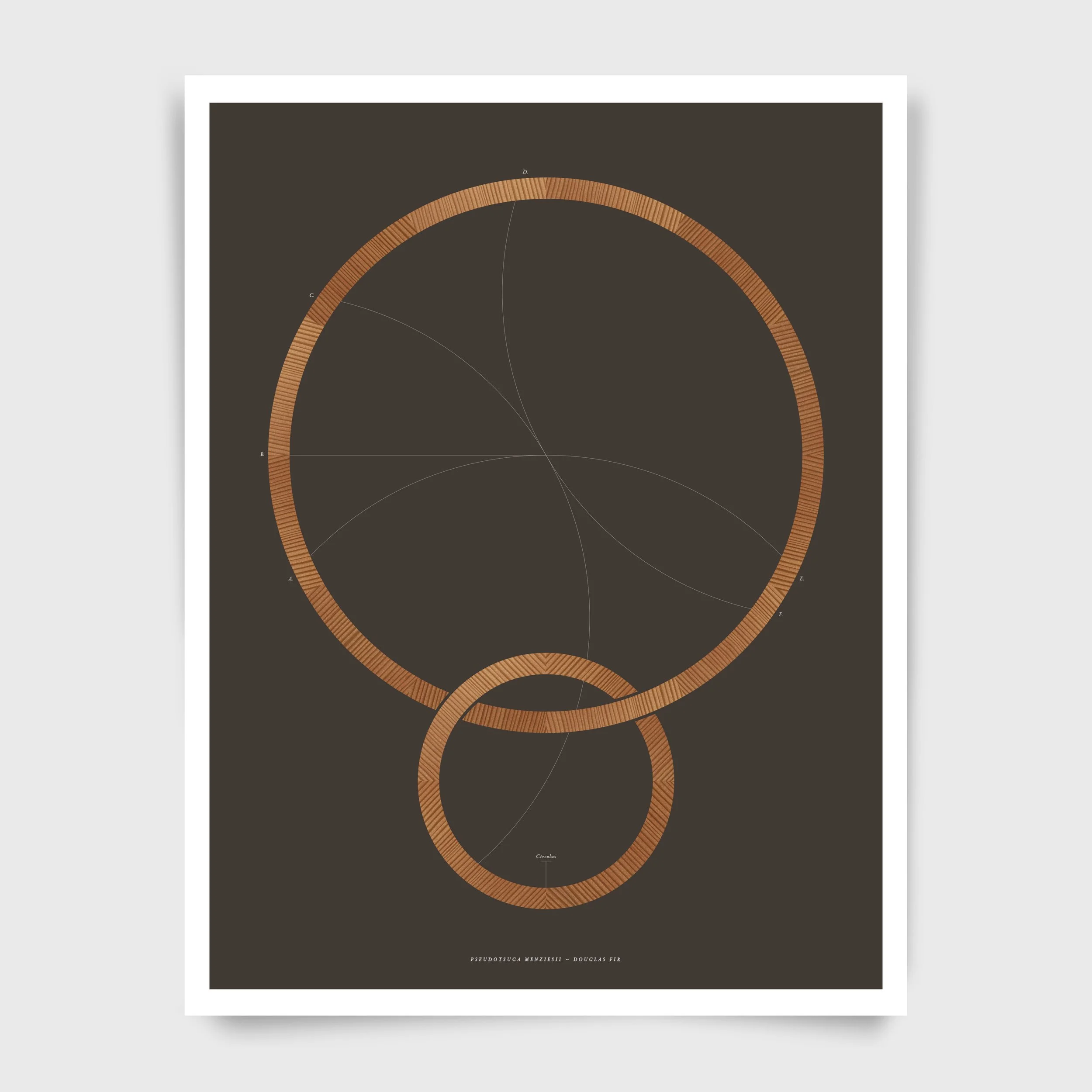 Circulus Minor, Geometry Series, 55.9 x 43.2