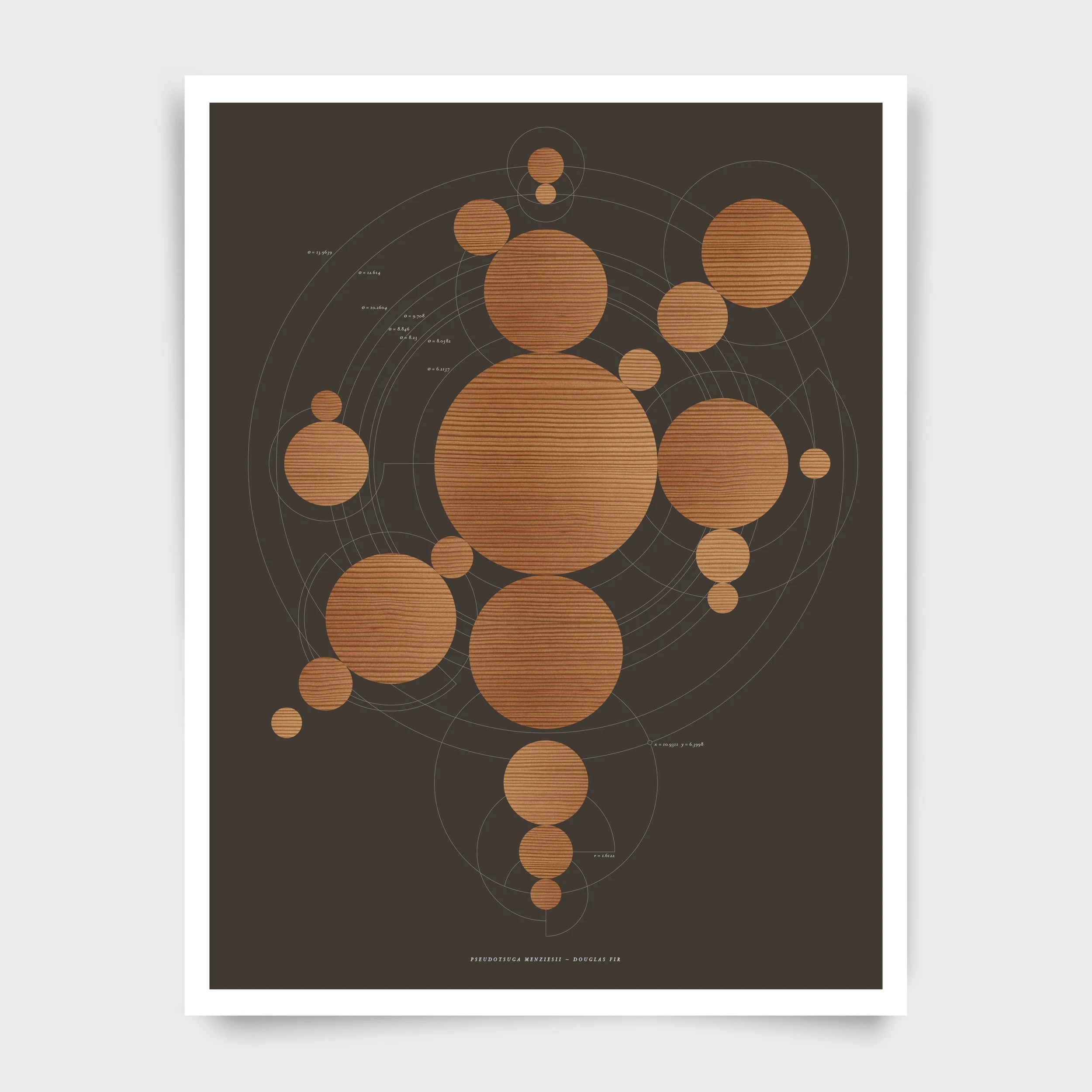 Circulus Major, Geometry Series, 55.9 x 43.2