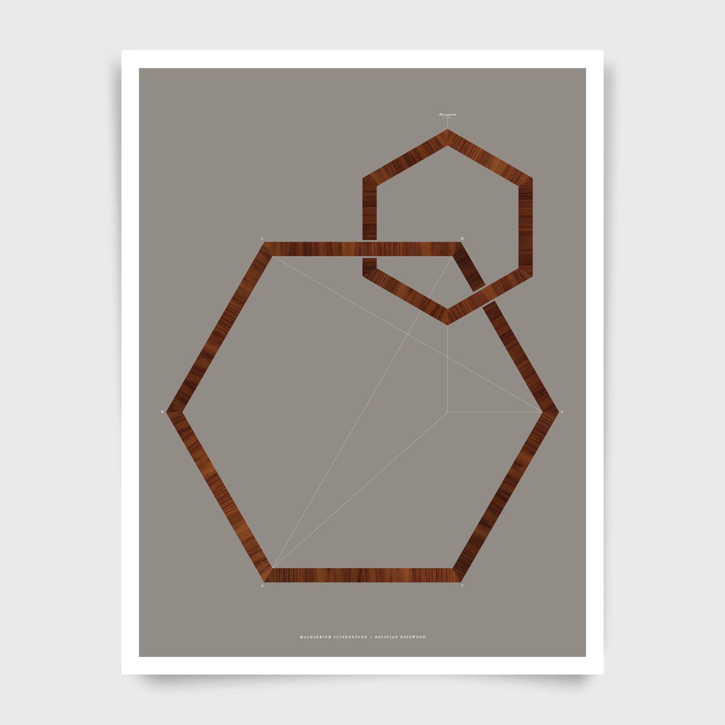 Hexagonon Minor, Geometry Series, 55.9 x 43.2