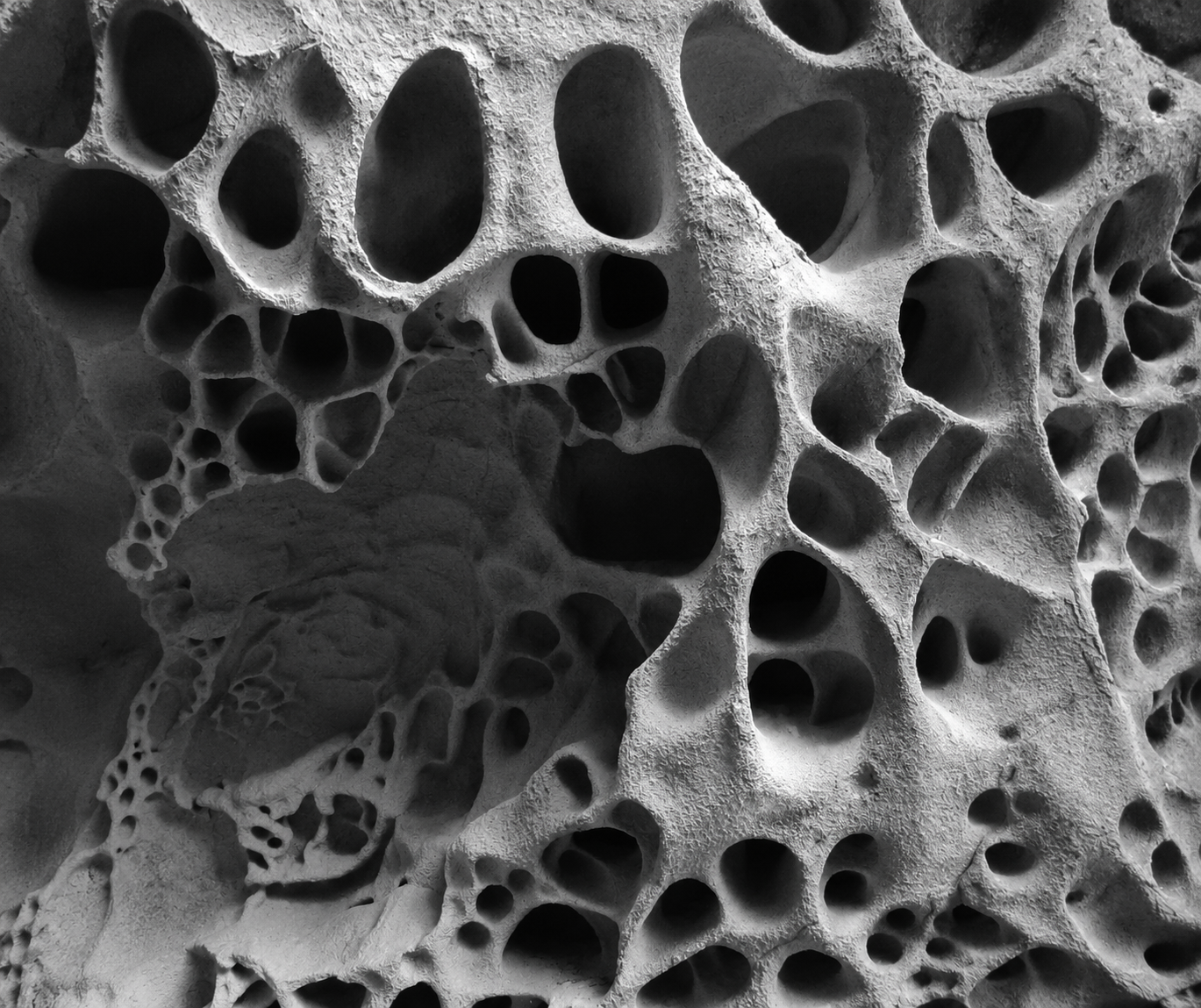 Tafoni rock structure black and white