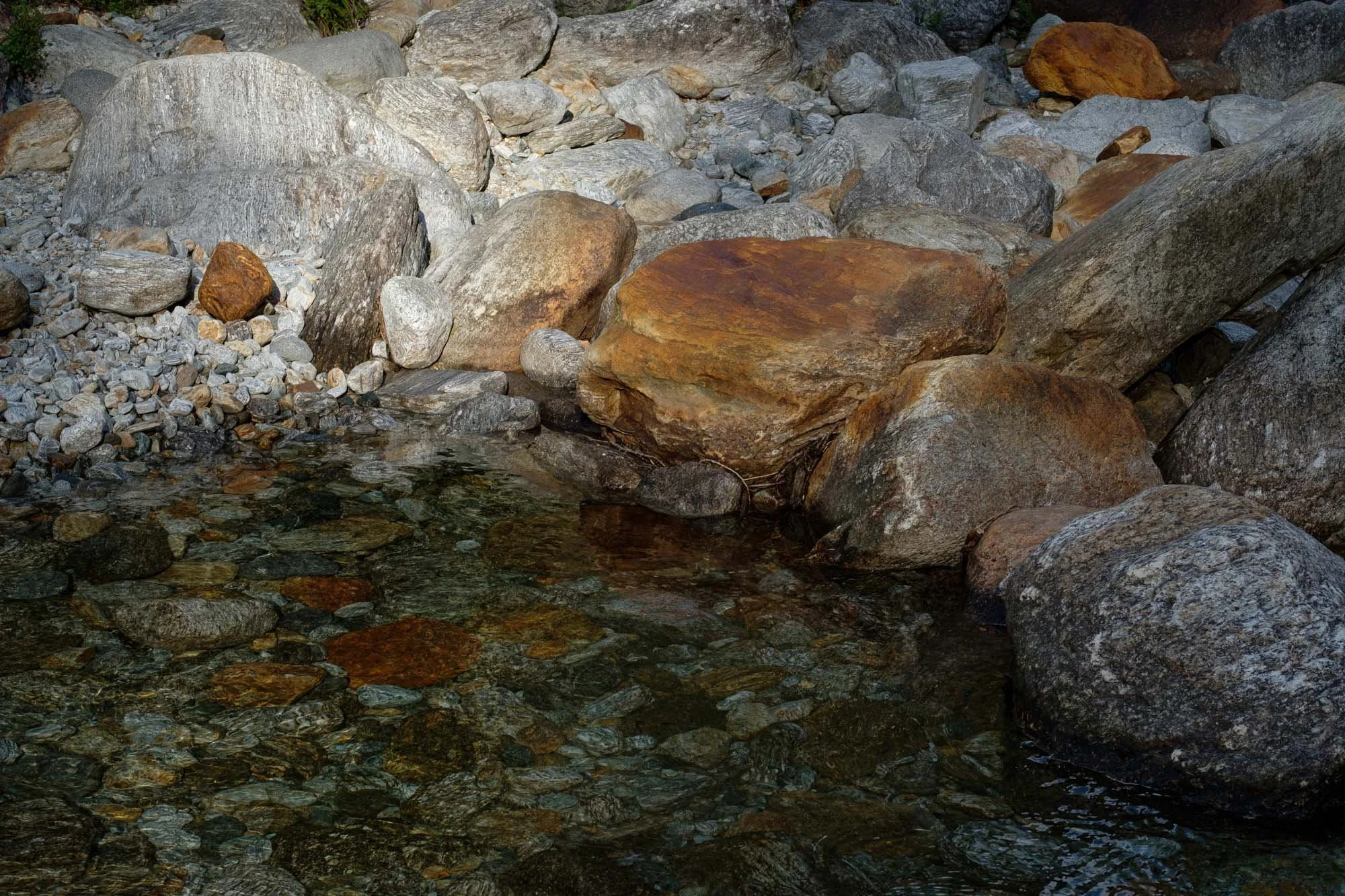 DSCF7651.jpg