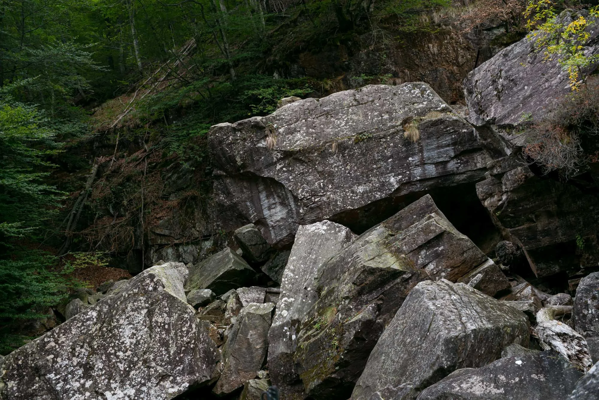 L1002575.jpg