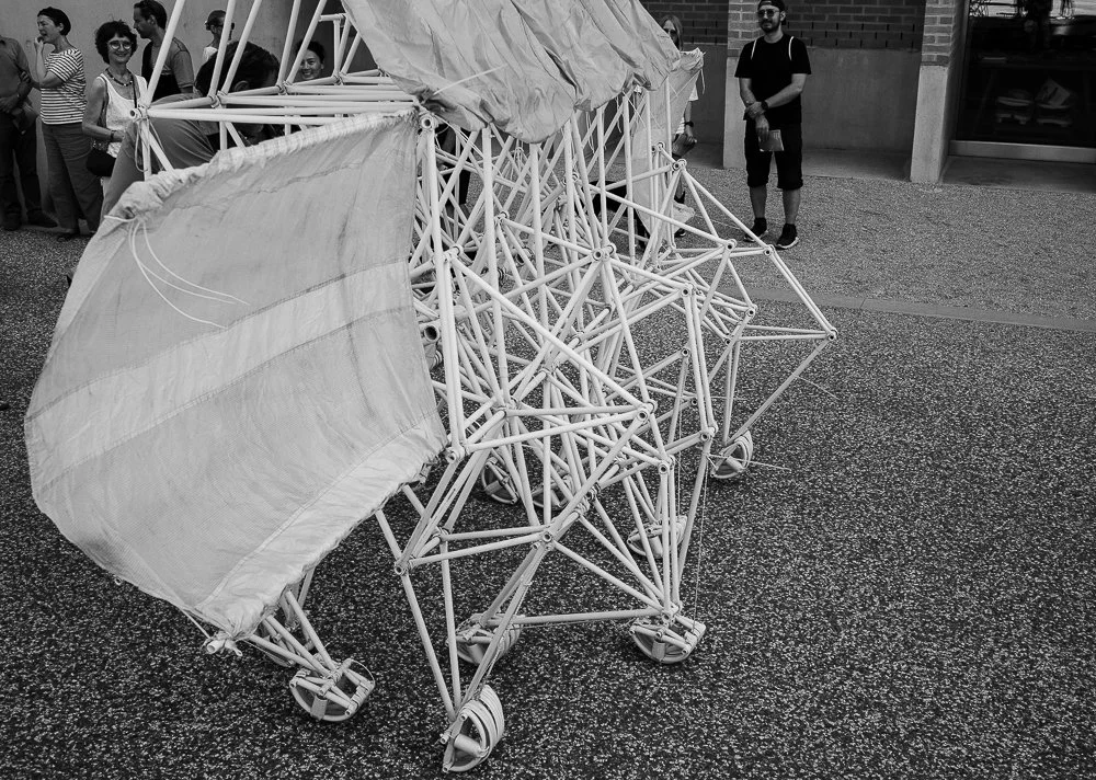 Theo_Jansen_Strandbeests-4.jpg