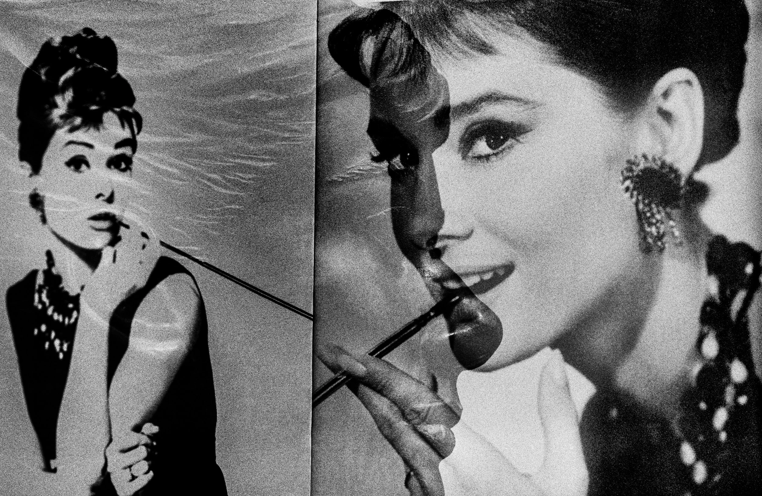 Audrey Hepburn au Musée Bolle