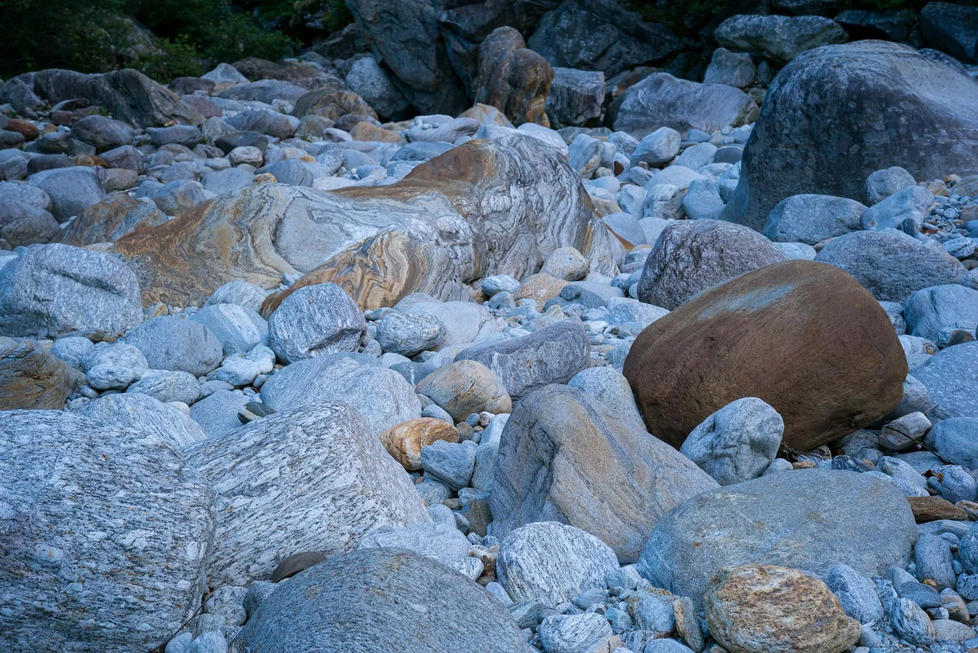 L1002121.jpg