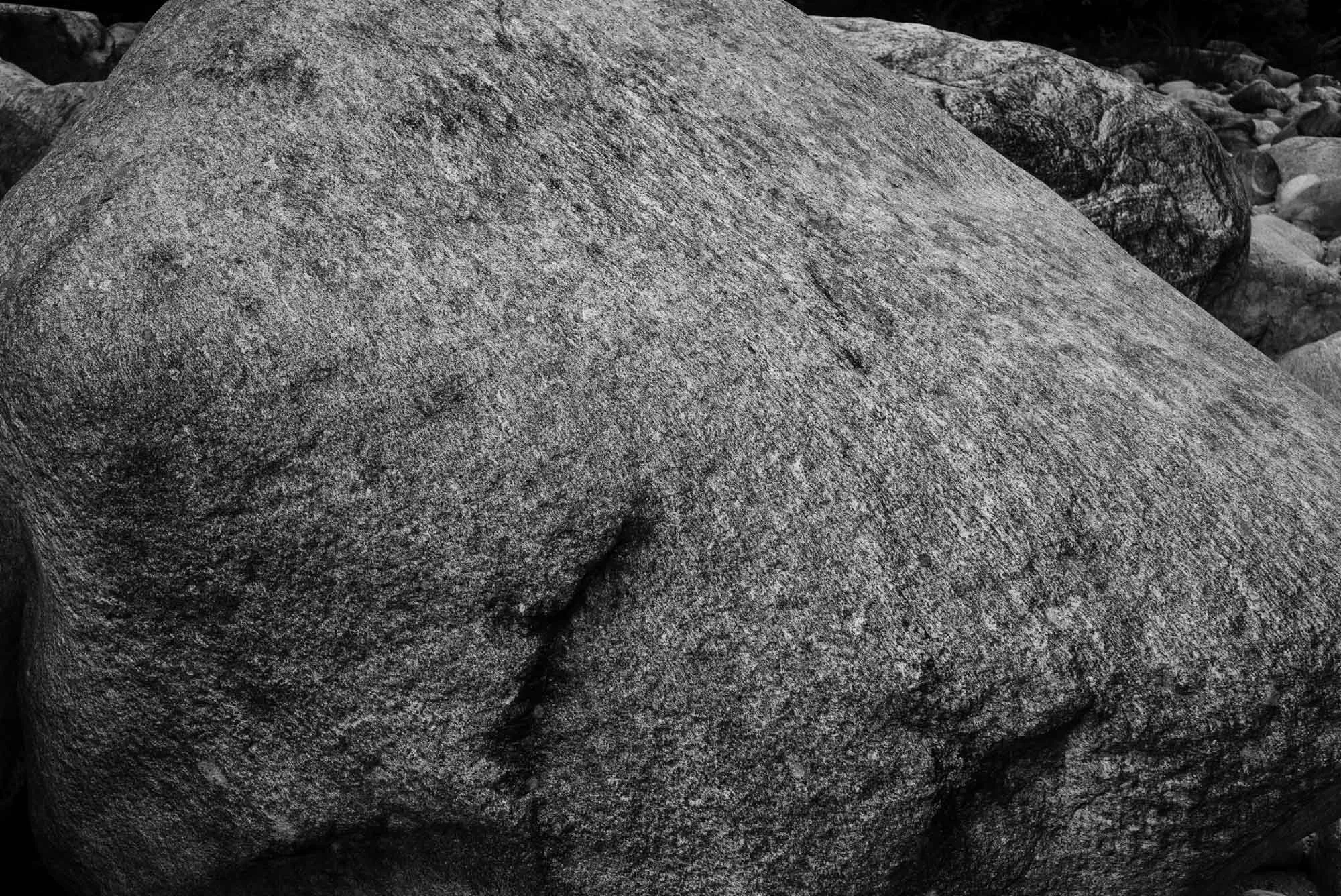 L1002199.jpg