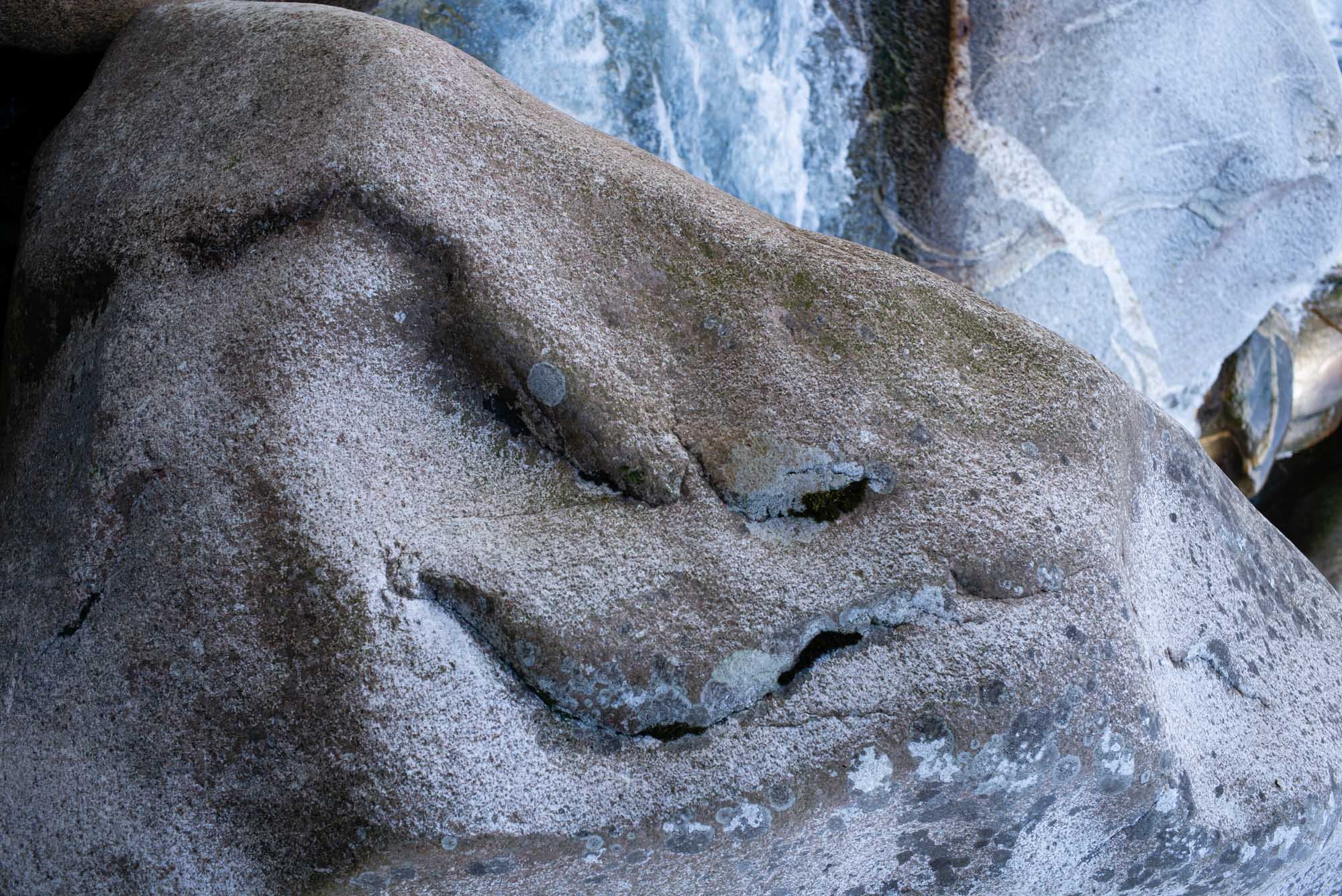 L1002424.jpg