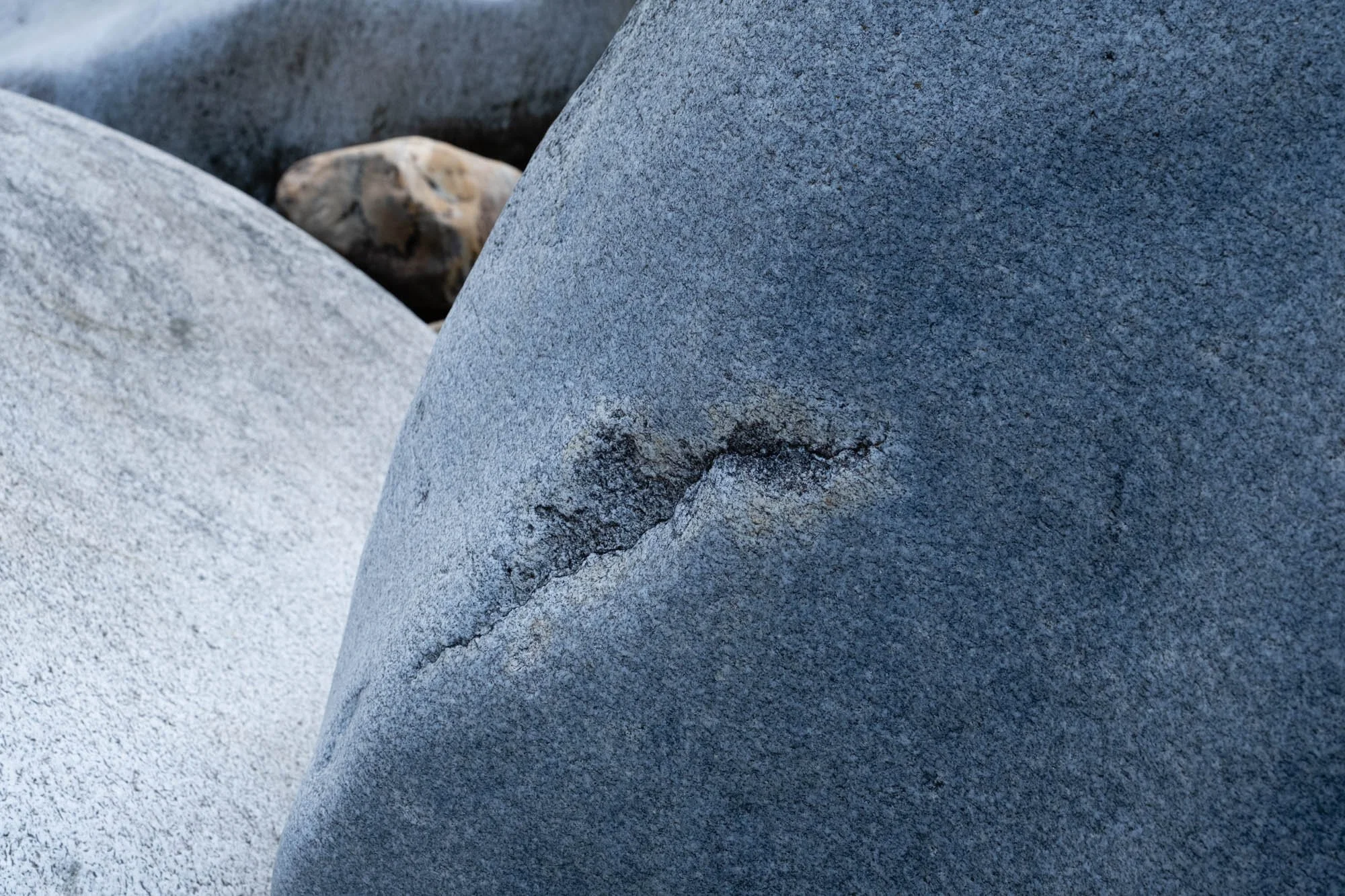 DSCF5515.jpg