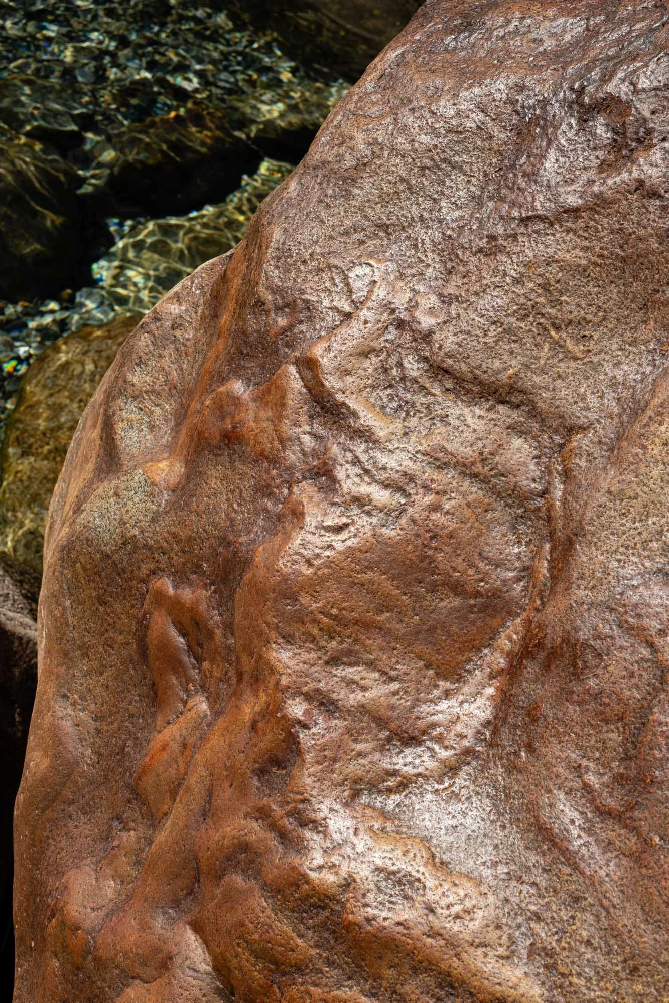 DSCF7695.jpg