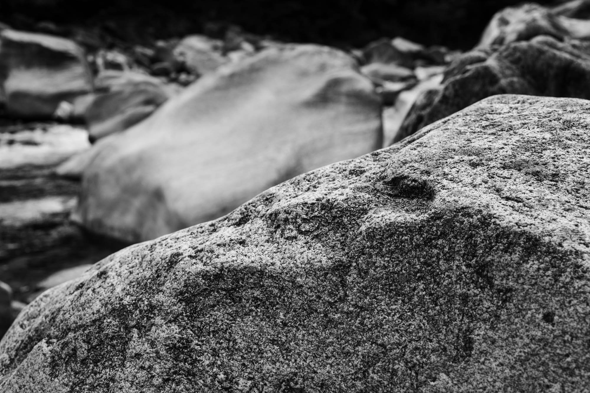DSCF5520.jpg