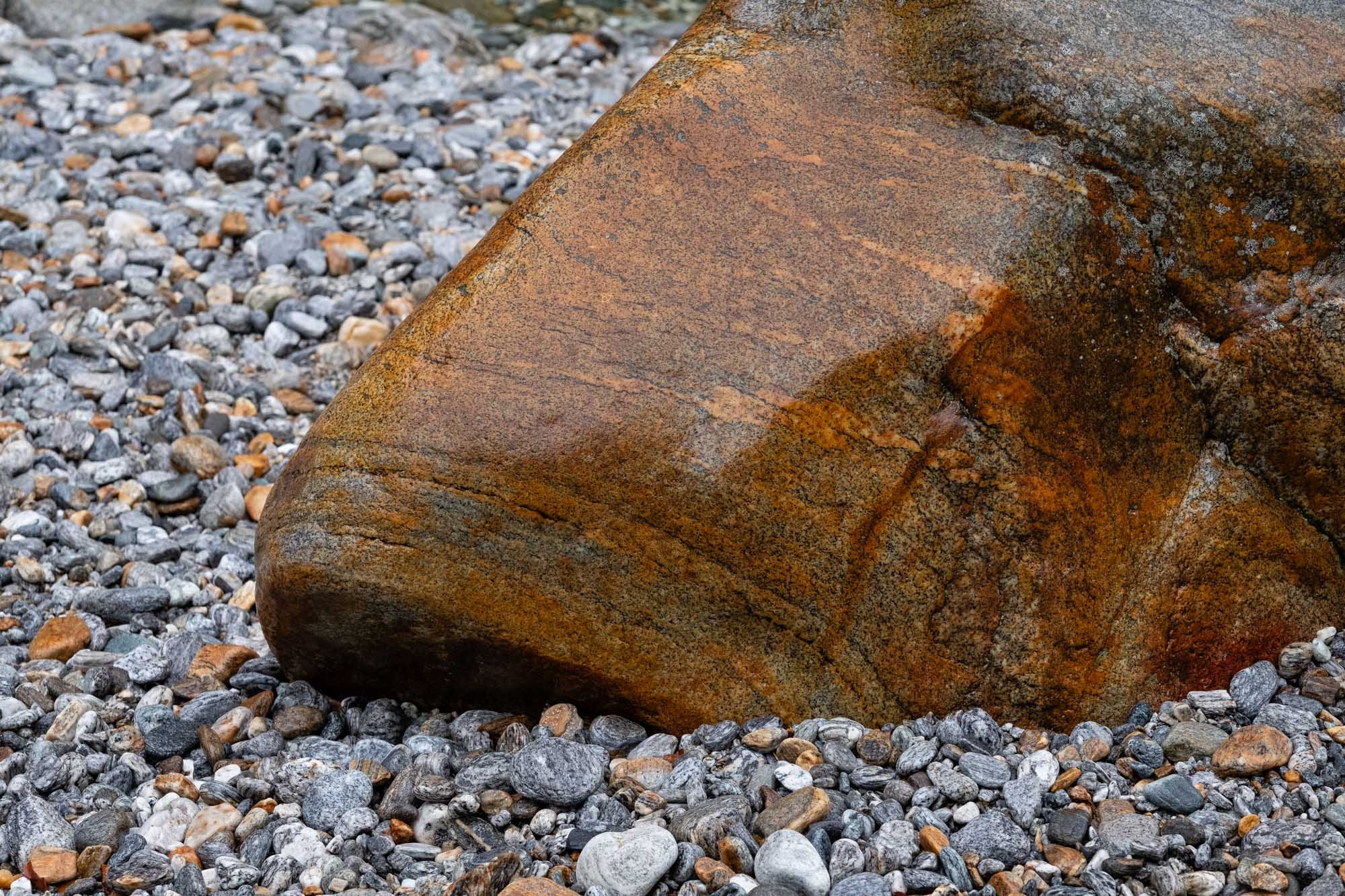 DSCF5153.jpg
