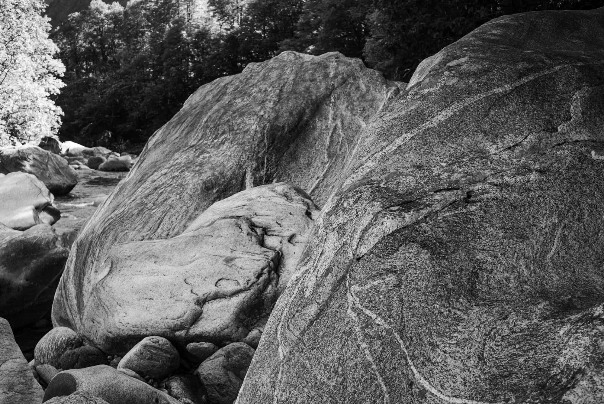L1002417.jpg
