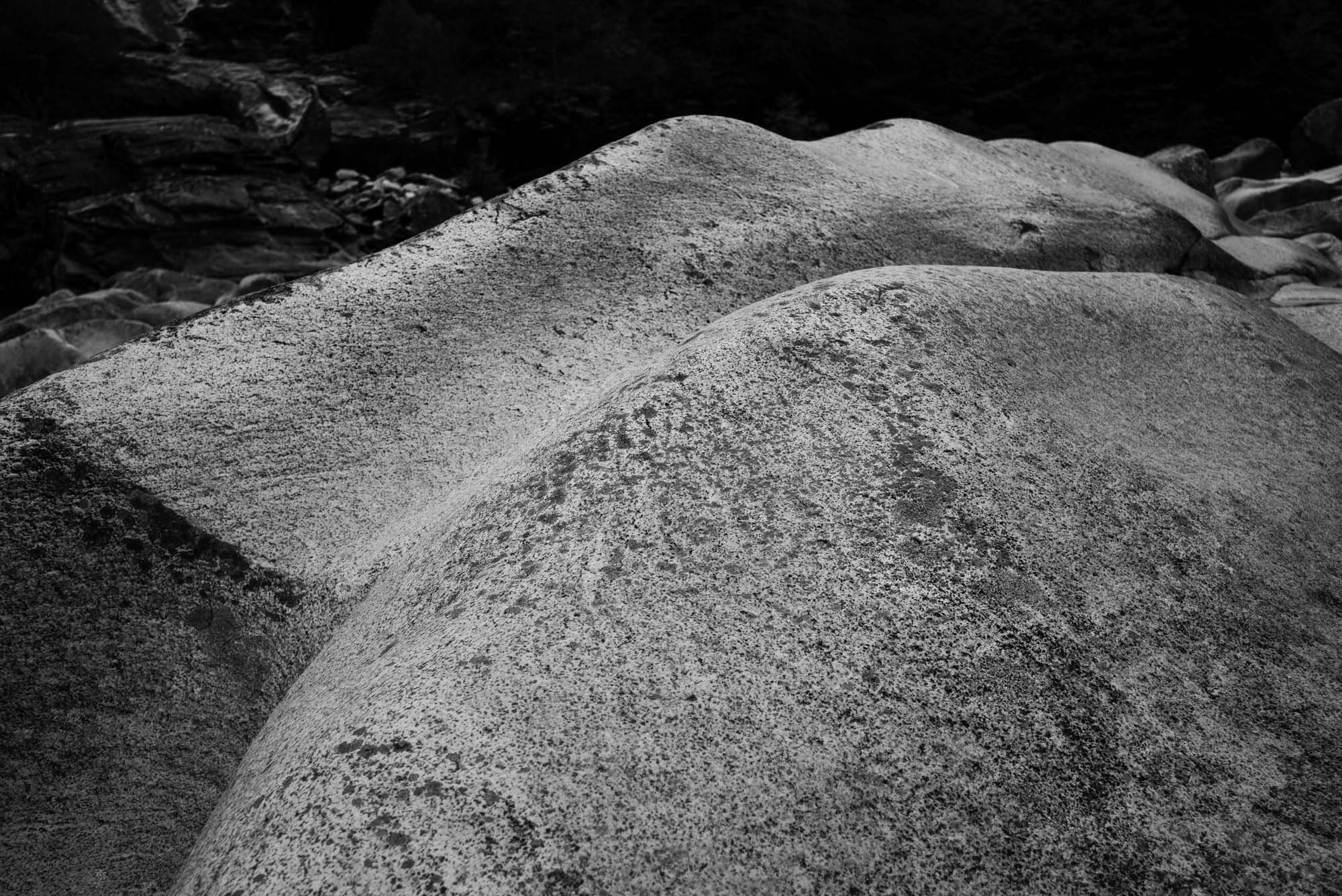 L1002214.jpg