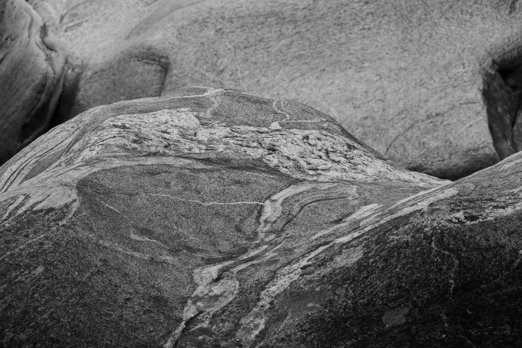 DSCF4978.jpg