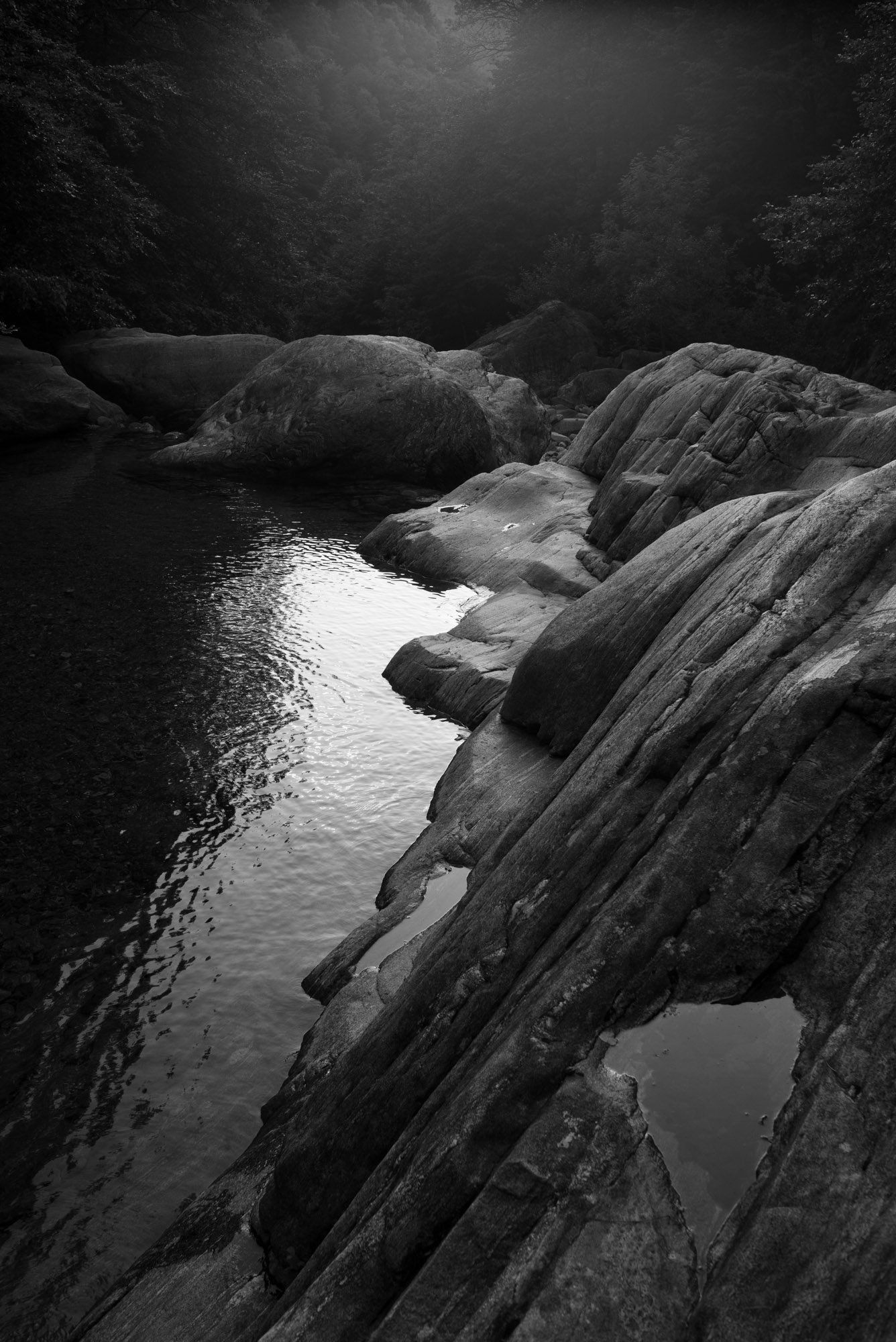 L1002287.jpg