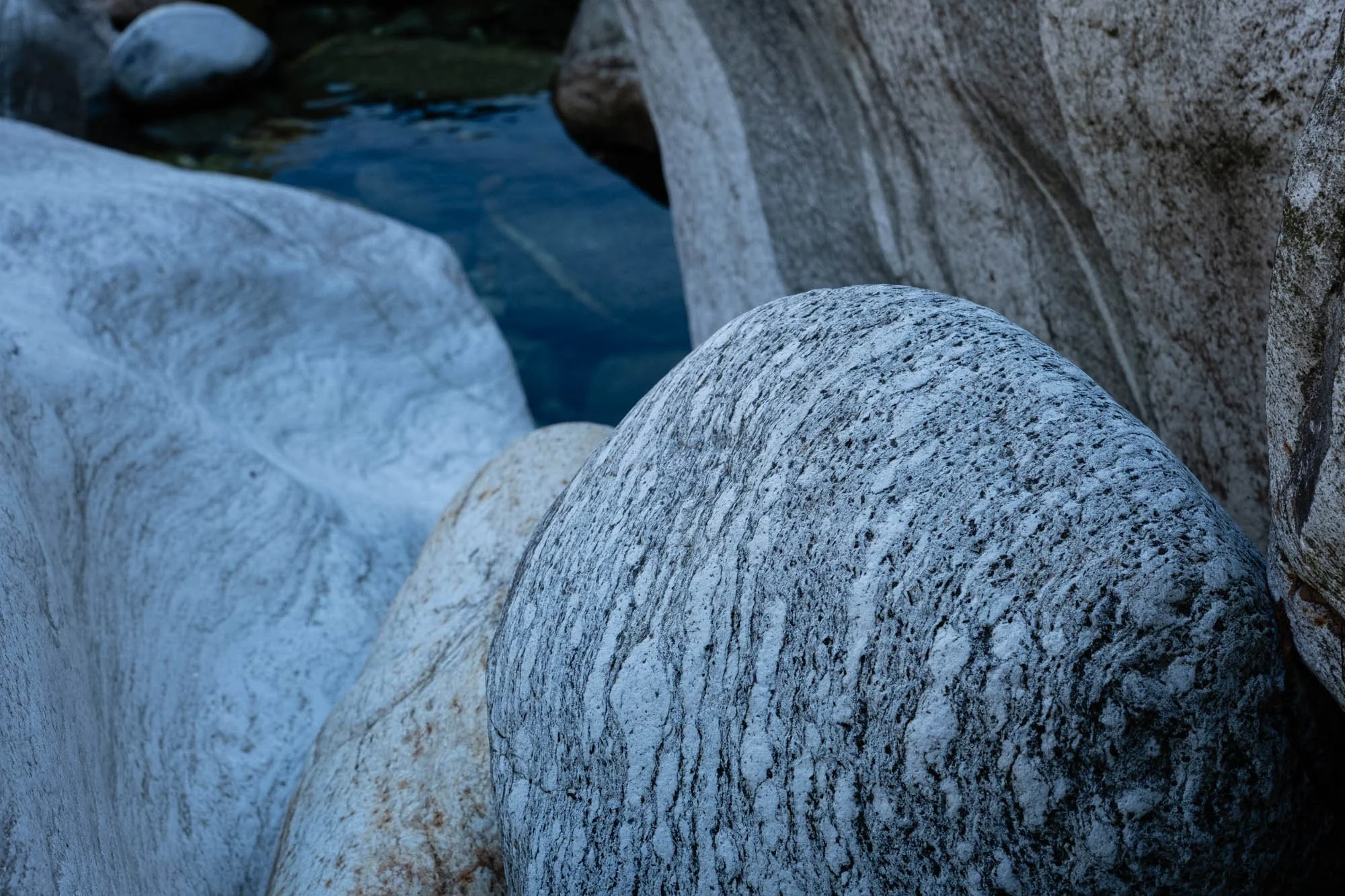 DSCF4931.jpg