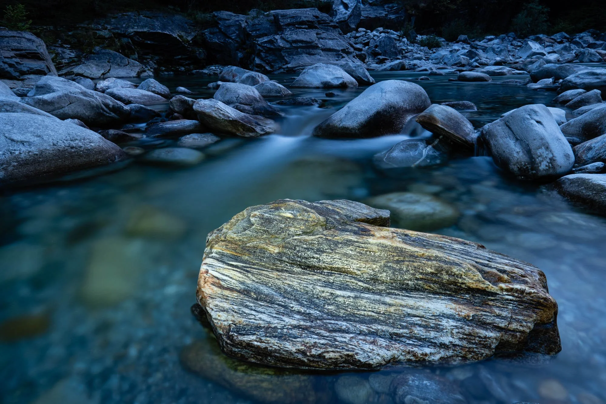 DSCF5597.jpg